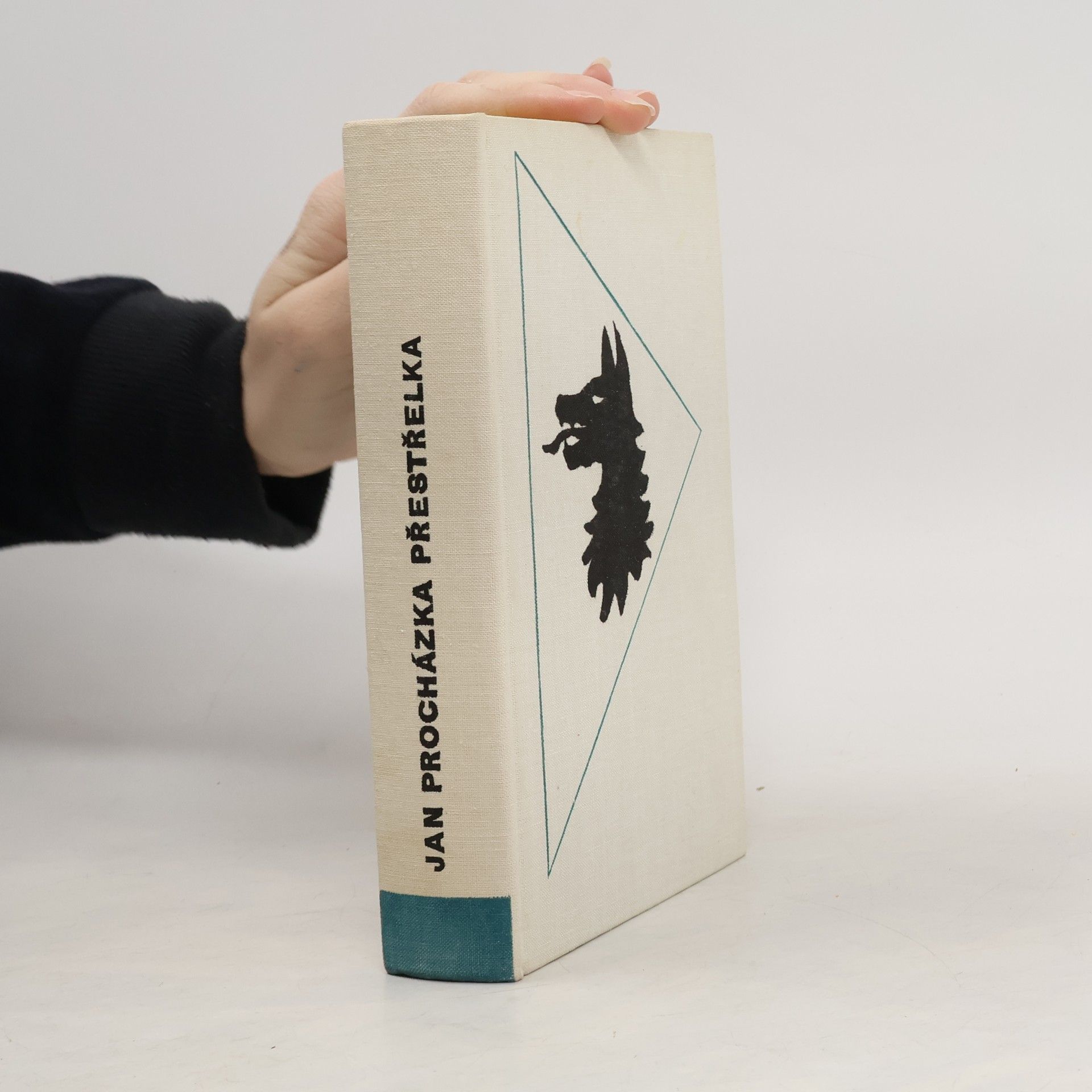 Jan Procházka Přestřelka