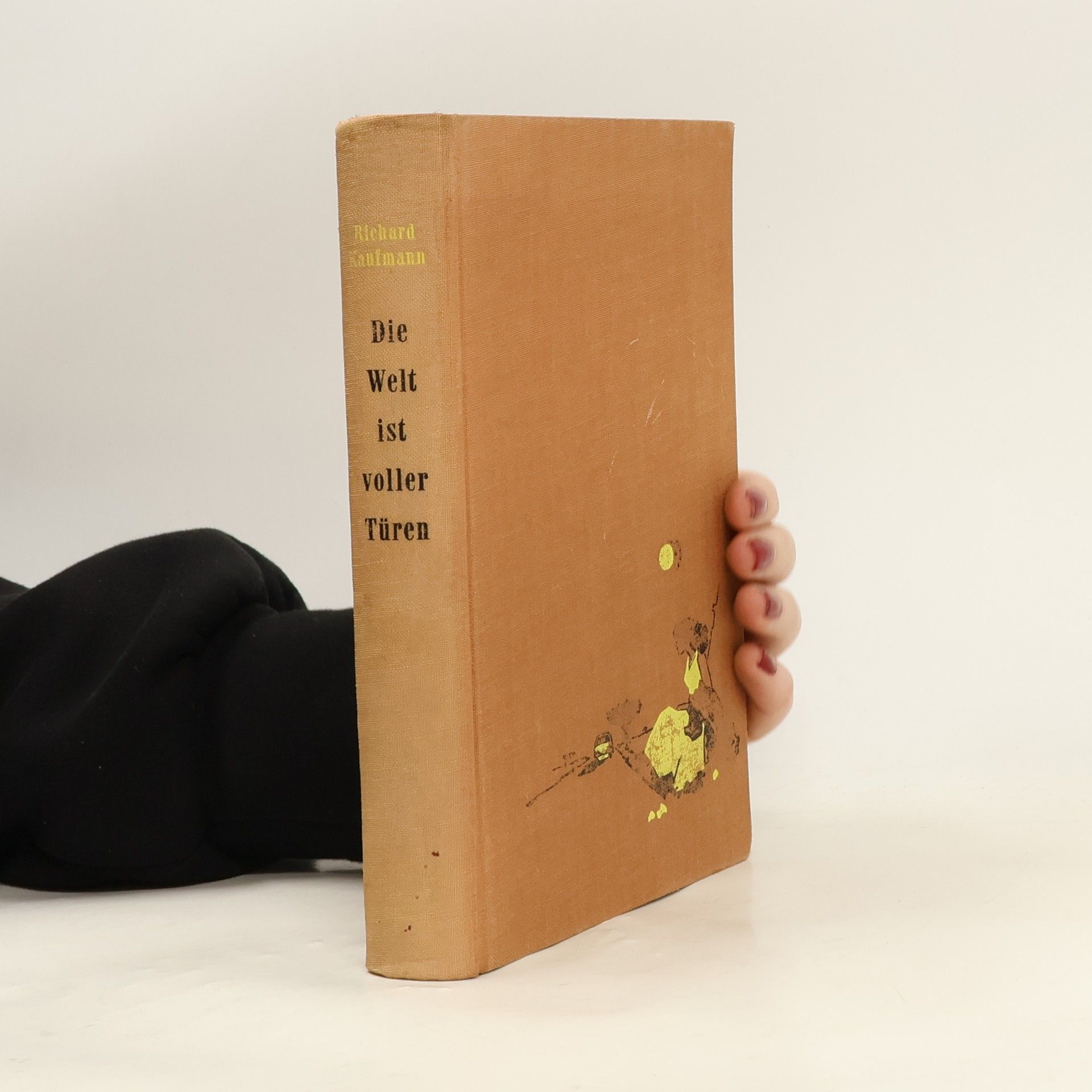 Die Welt ist Voller Türen