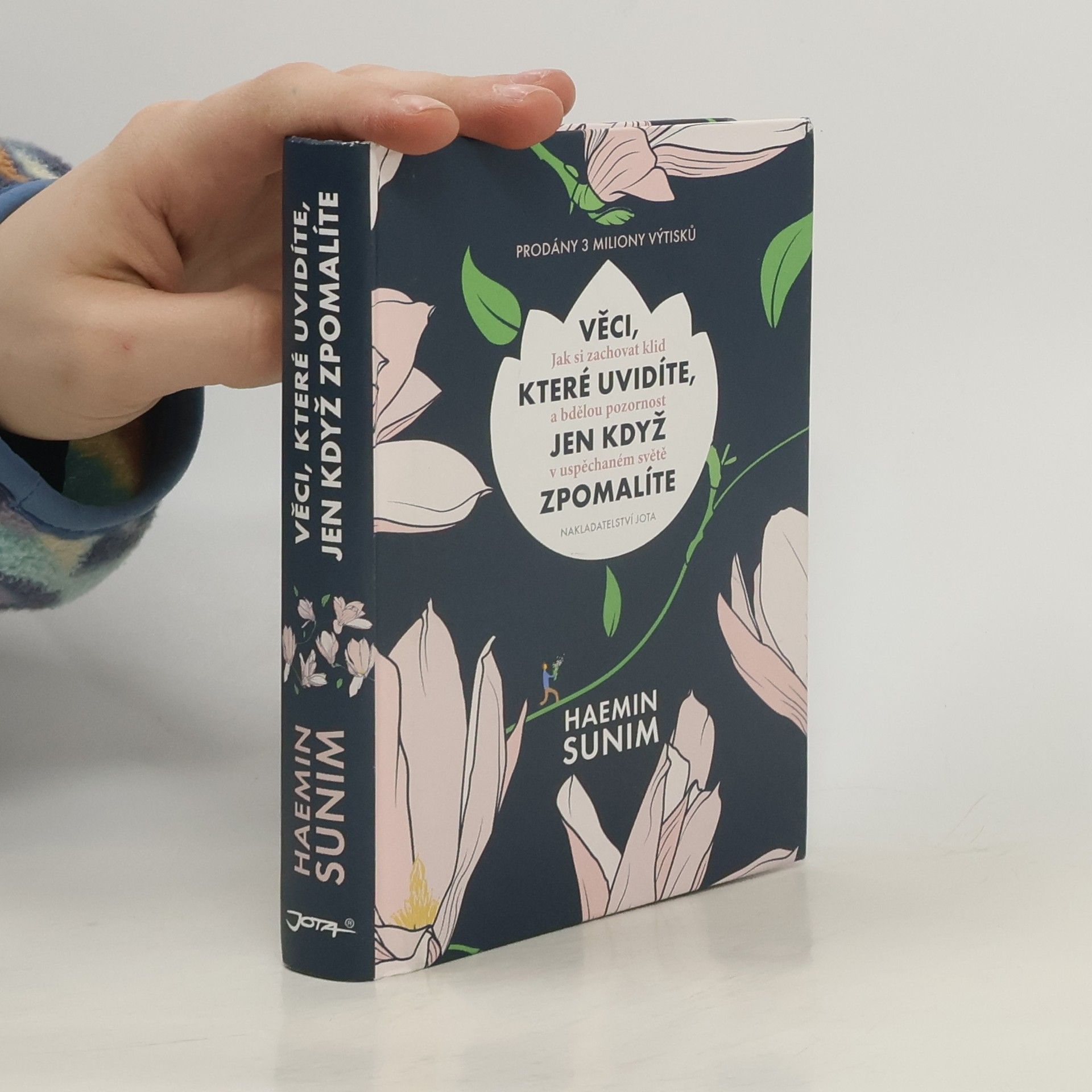 Sunim Haemin Věci, které uvidíte, jen když zpomalíte