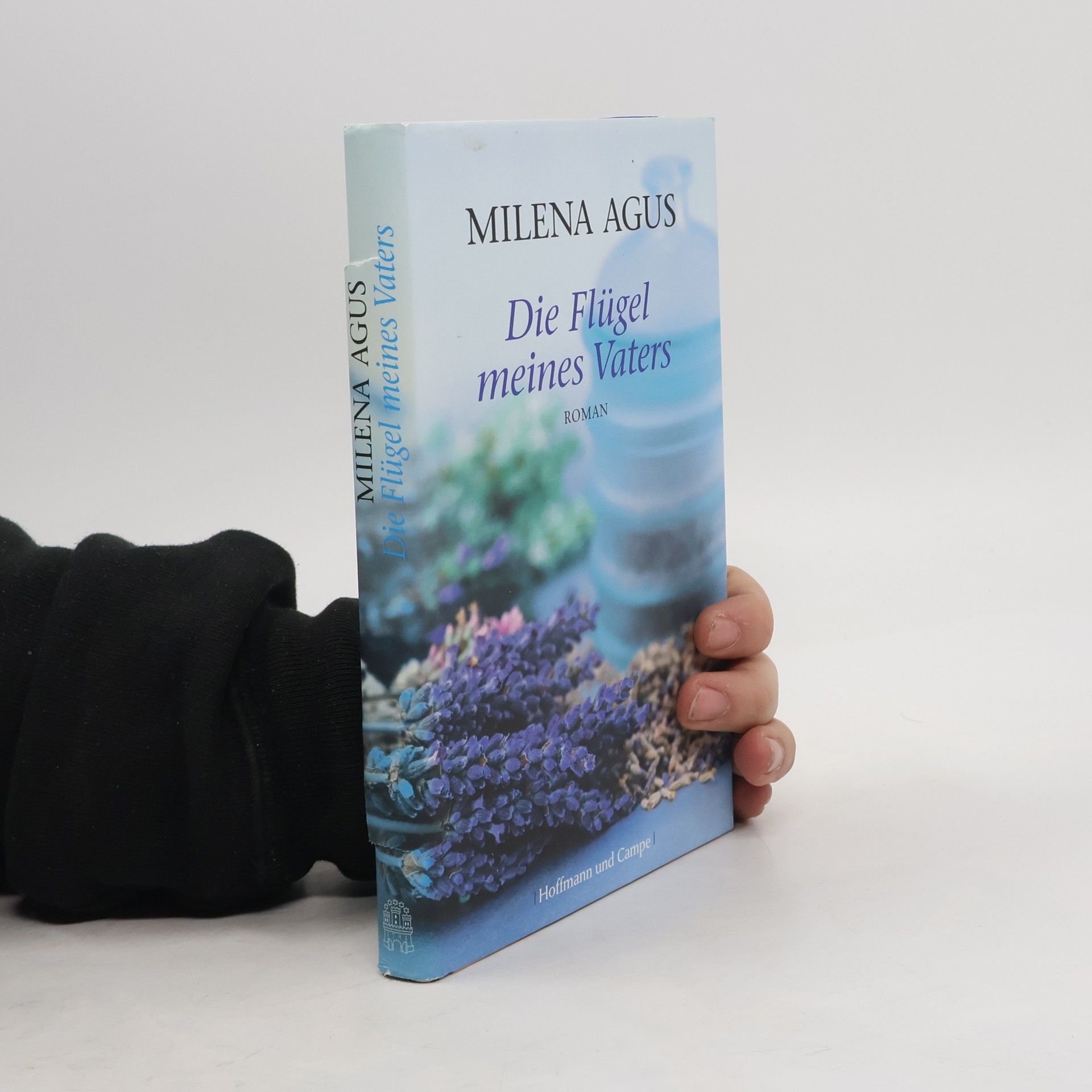 Milena Agus Die Flügel meines Vaters