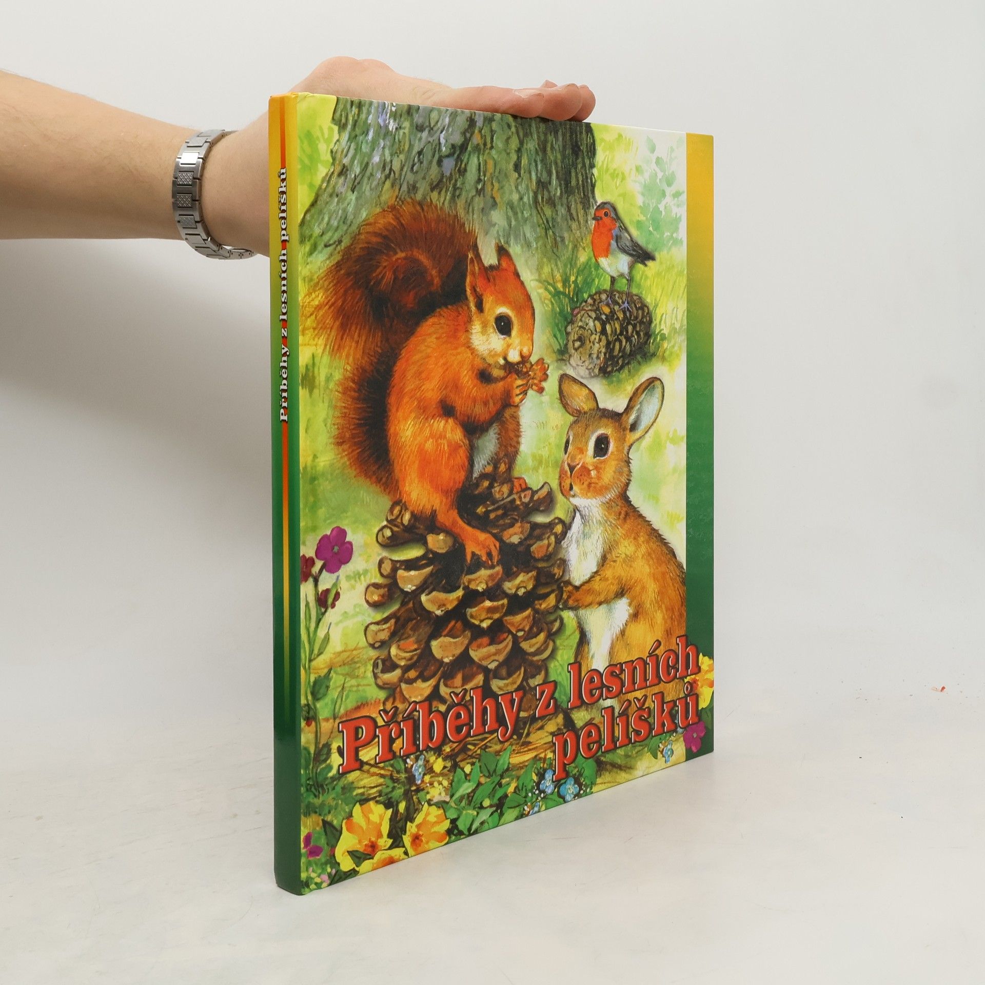 Autorenkollektiv Příběhy z lesních pelíšků