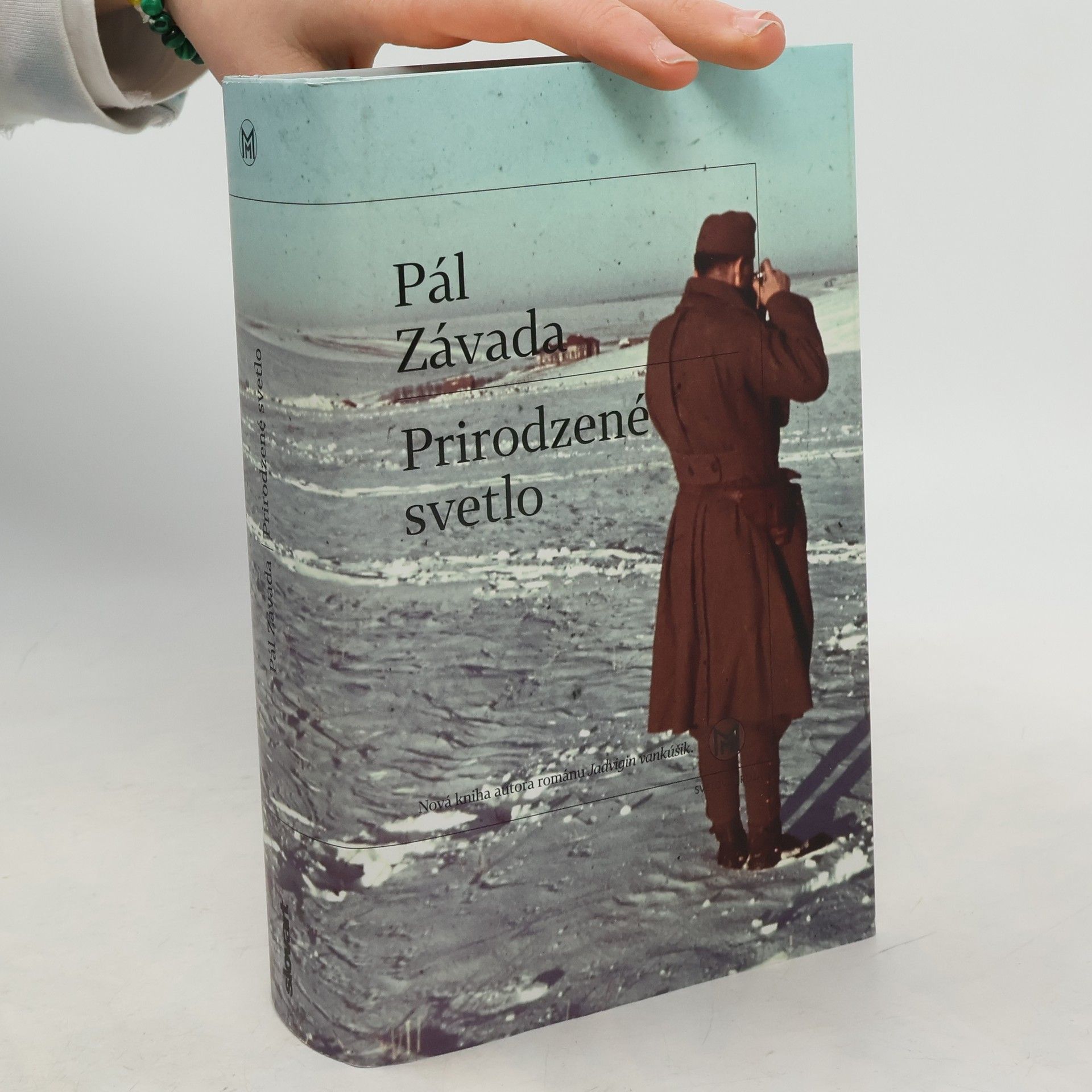 Pál Závada Prirodzené svetlo