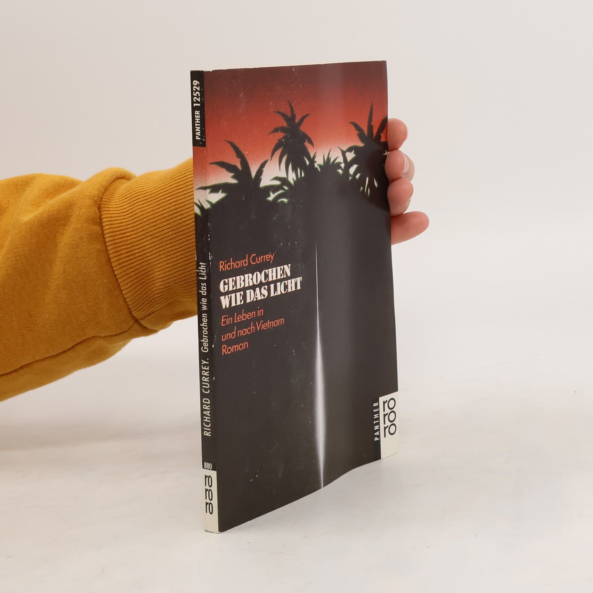 Richard Currey Gebrochen wie das Licht