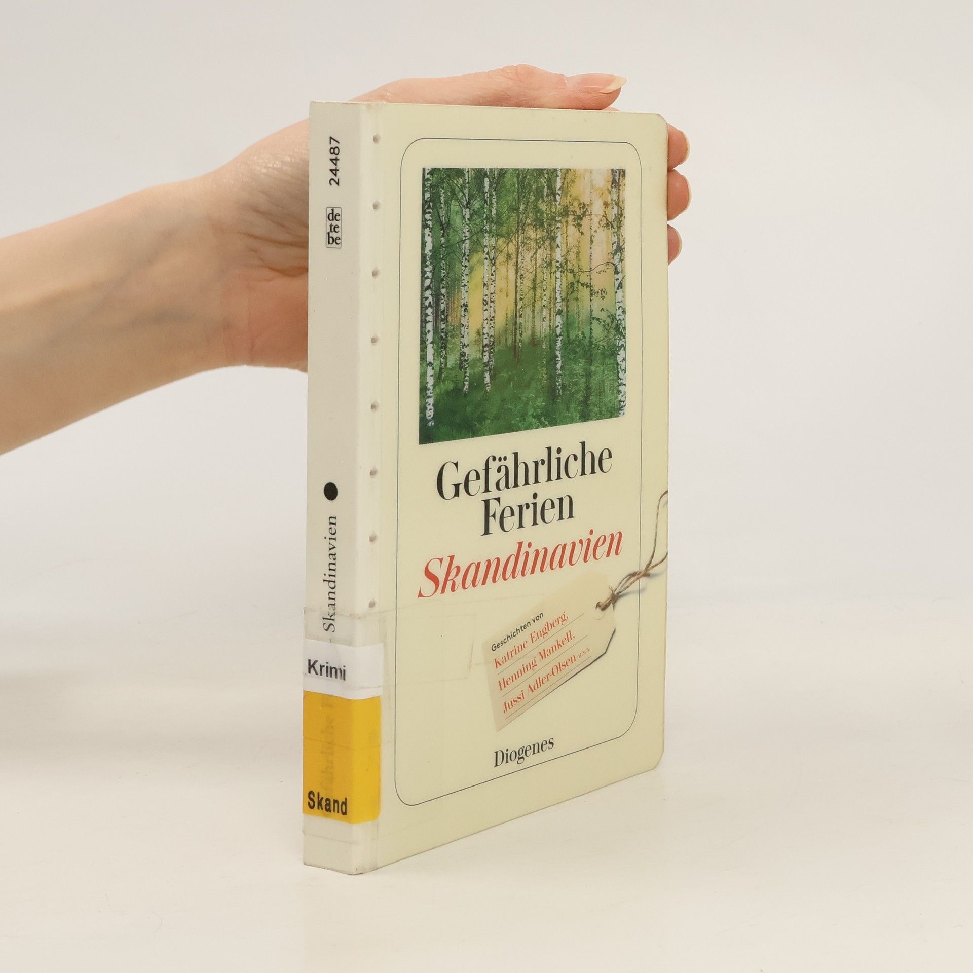 Gefährliche Ferien - Skandinavien