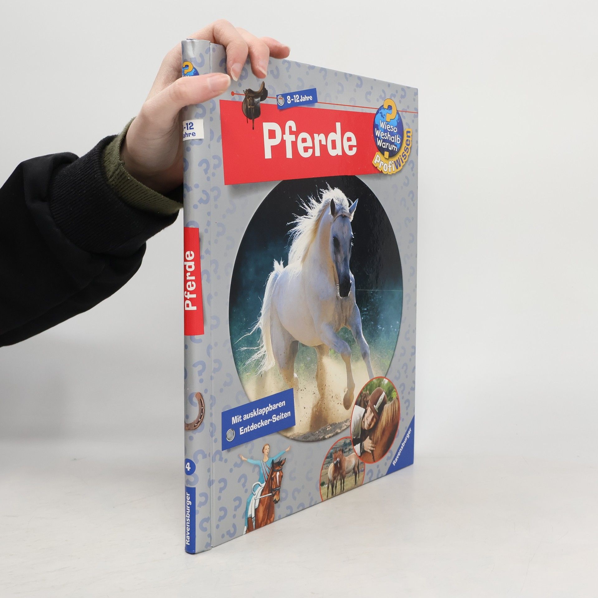 Autorenkollektiv Pferde