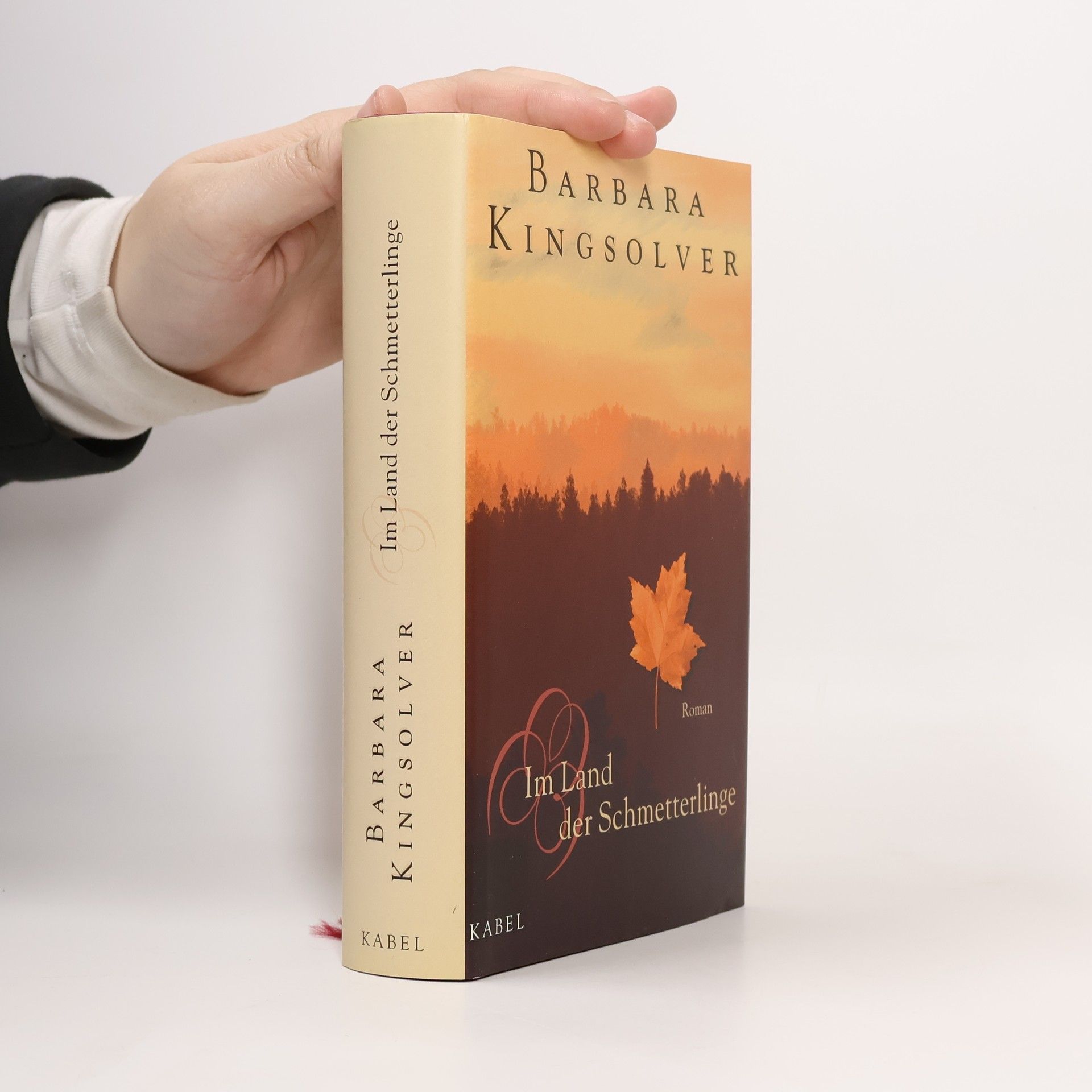 Im Land der Schmetterlinge