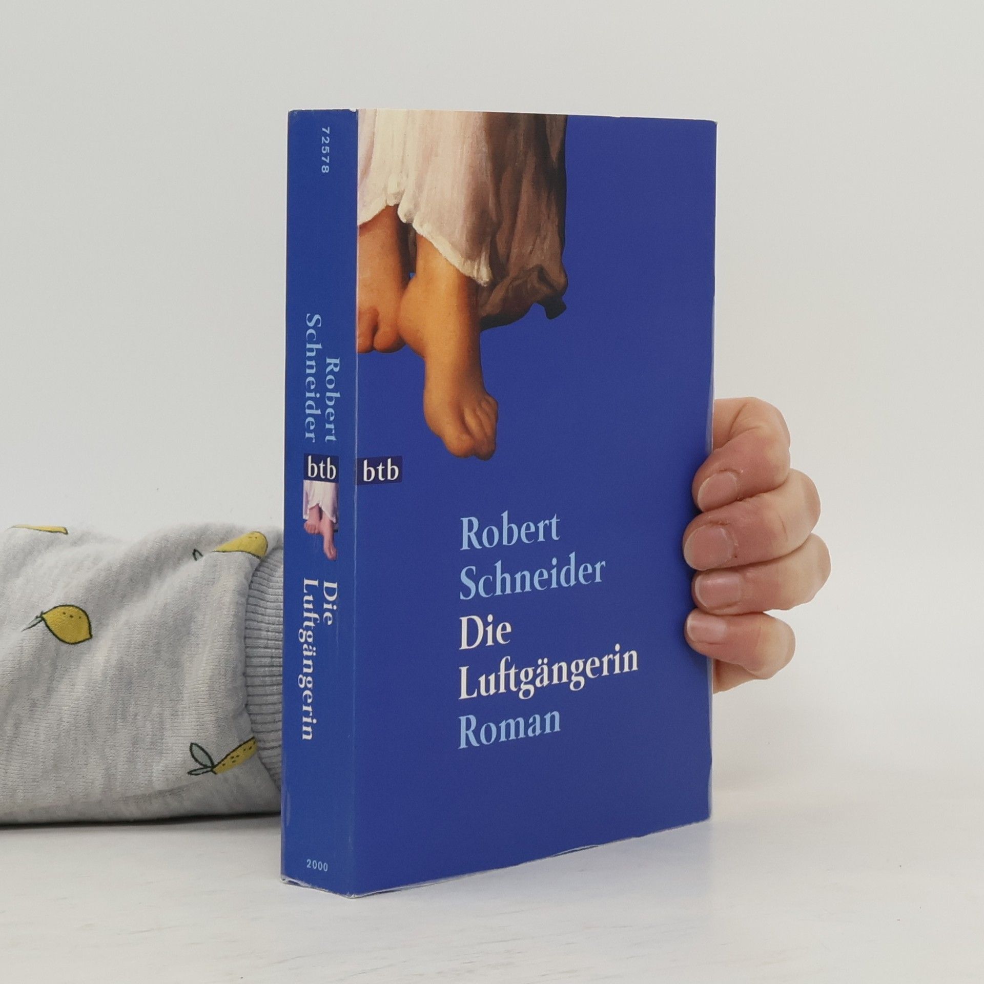 Robert Schneider Die Luftgängerin