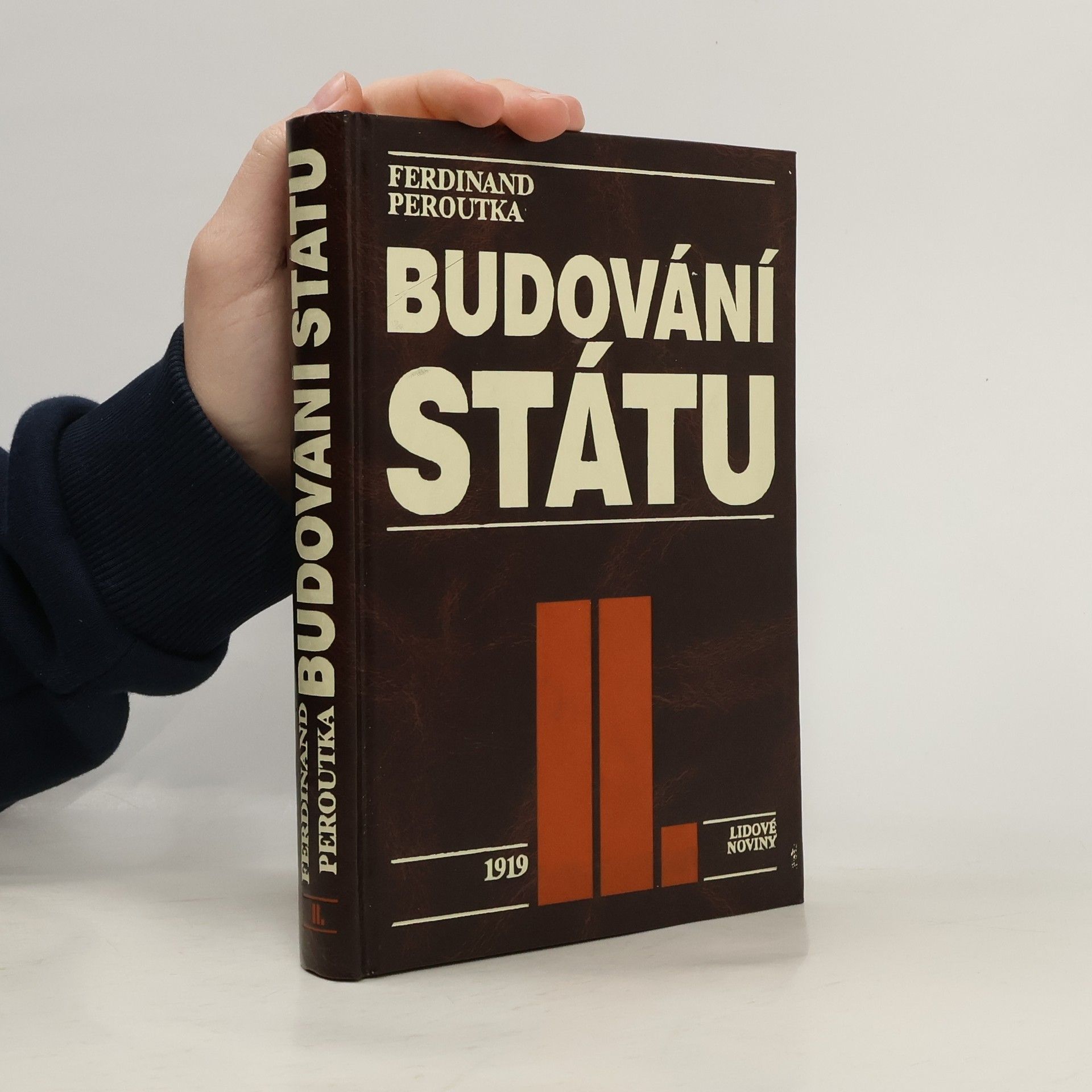 Budování státu II. 1919