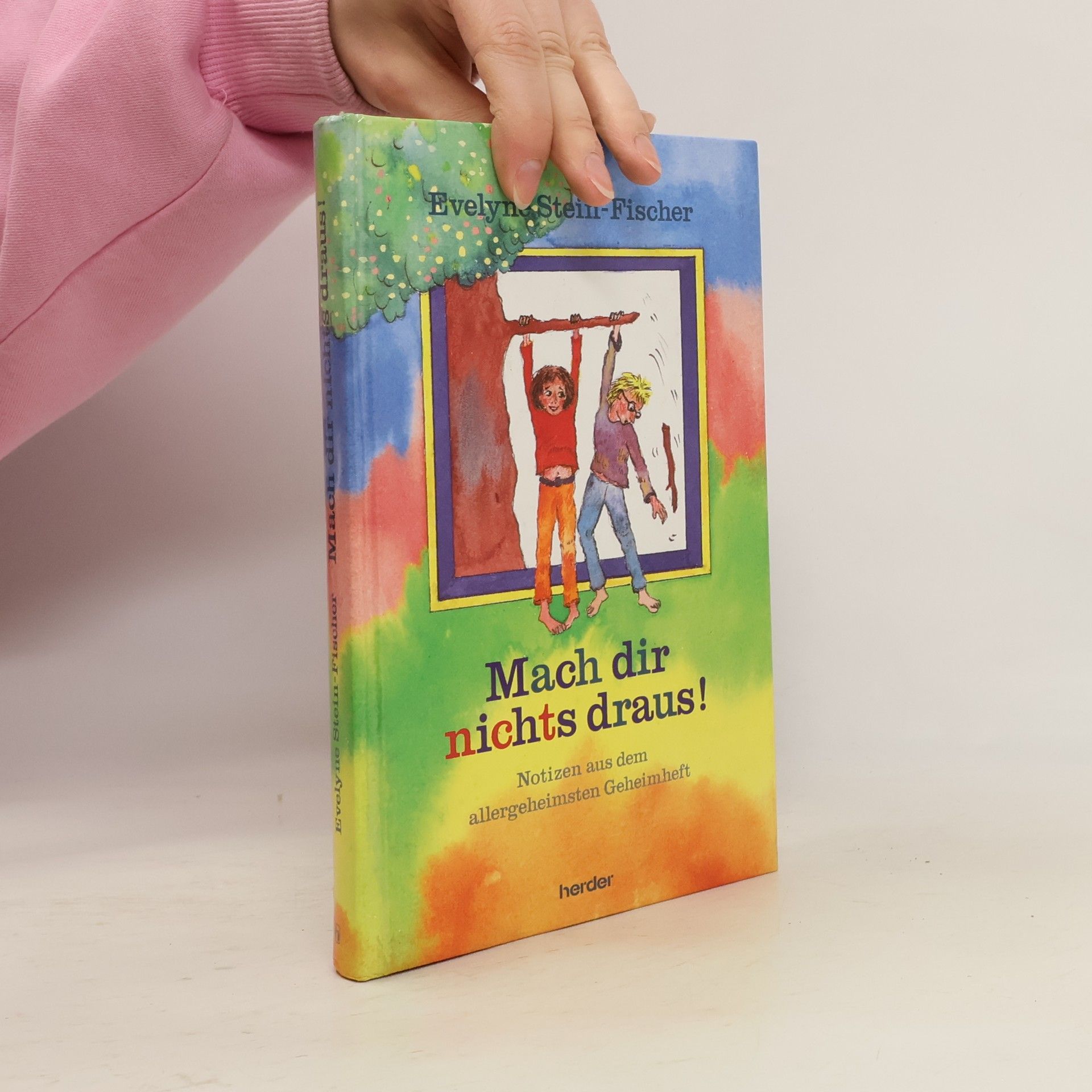 Evelyne Stein-Fischer Mach dir nichts draus: Notizen aus meinem allergeheimsten Geheimheft