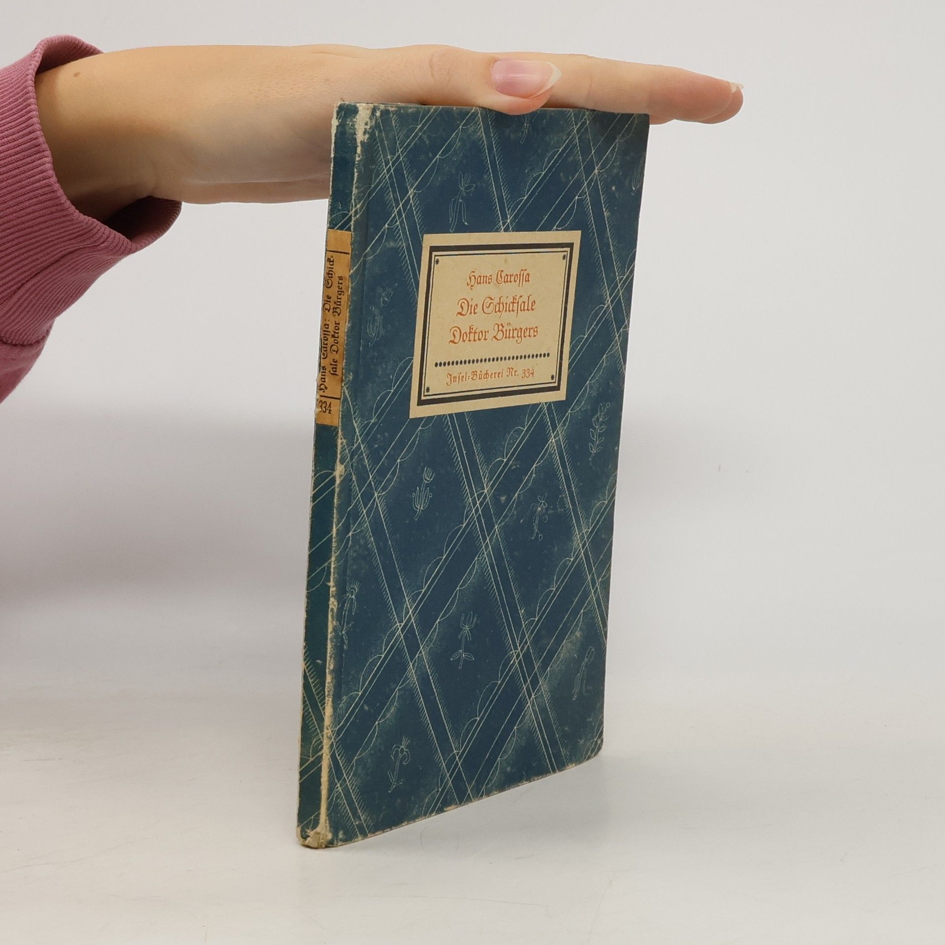 Die Schicksale Doktor Bürgers