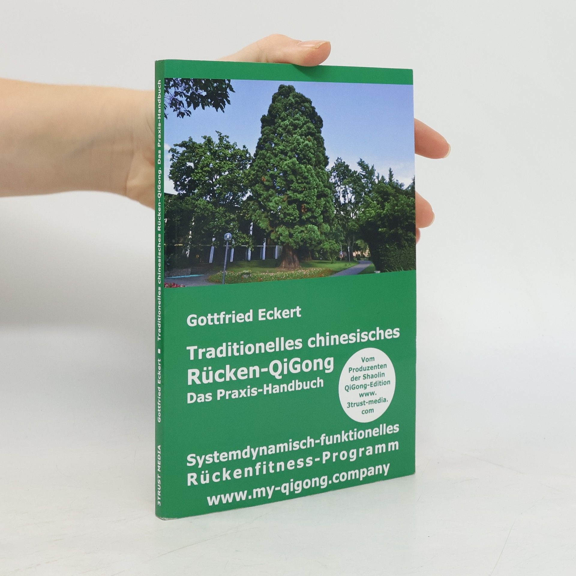 Traditionelles chinesisches Rücken-QiGong