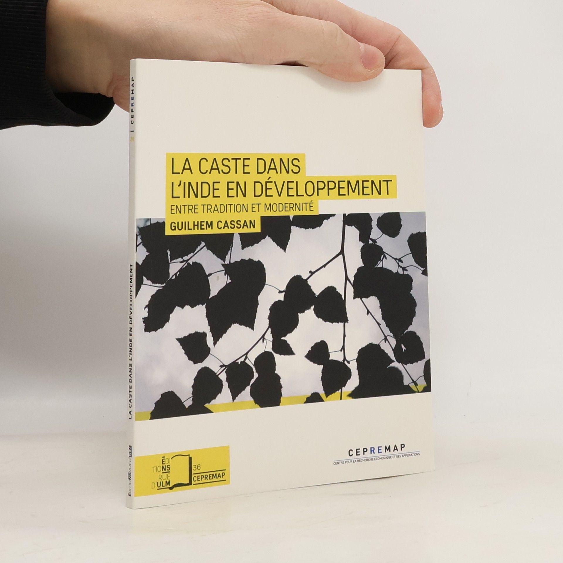 Guilhem Cassan La caste dans l'Inde en développement