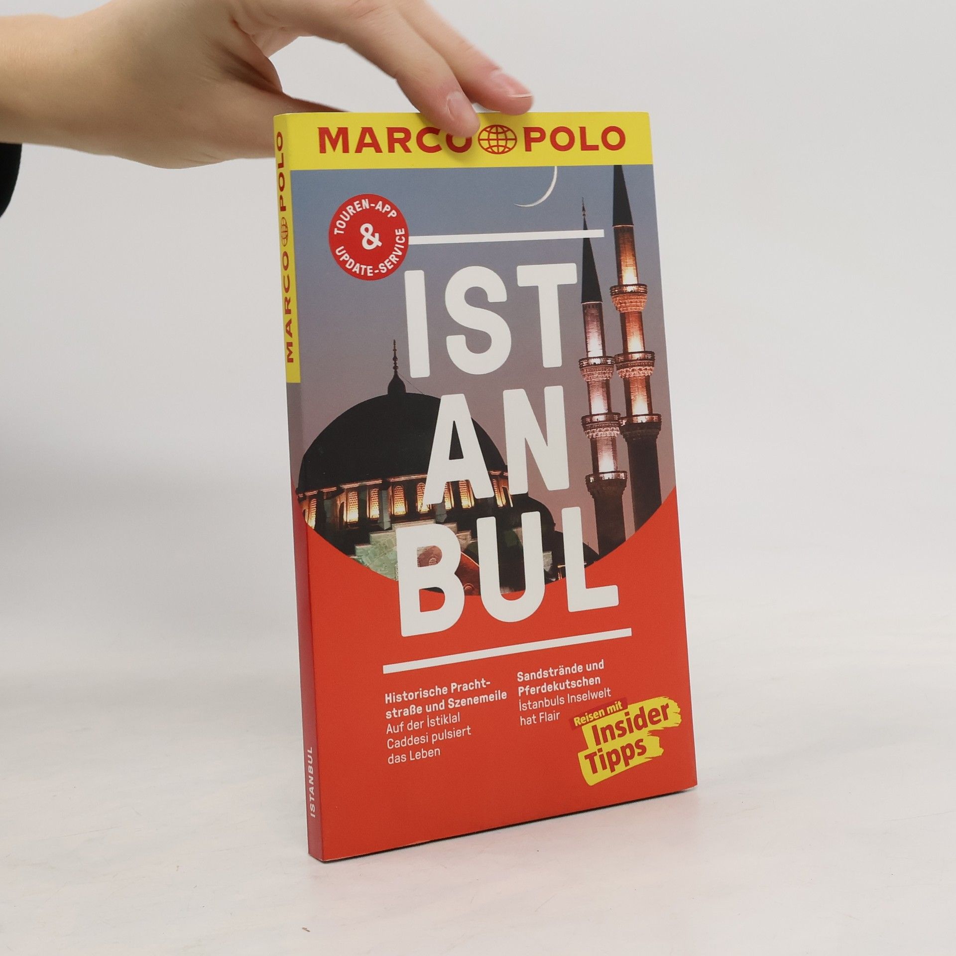 Dilek Zaptçıoğlu Istanbul