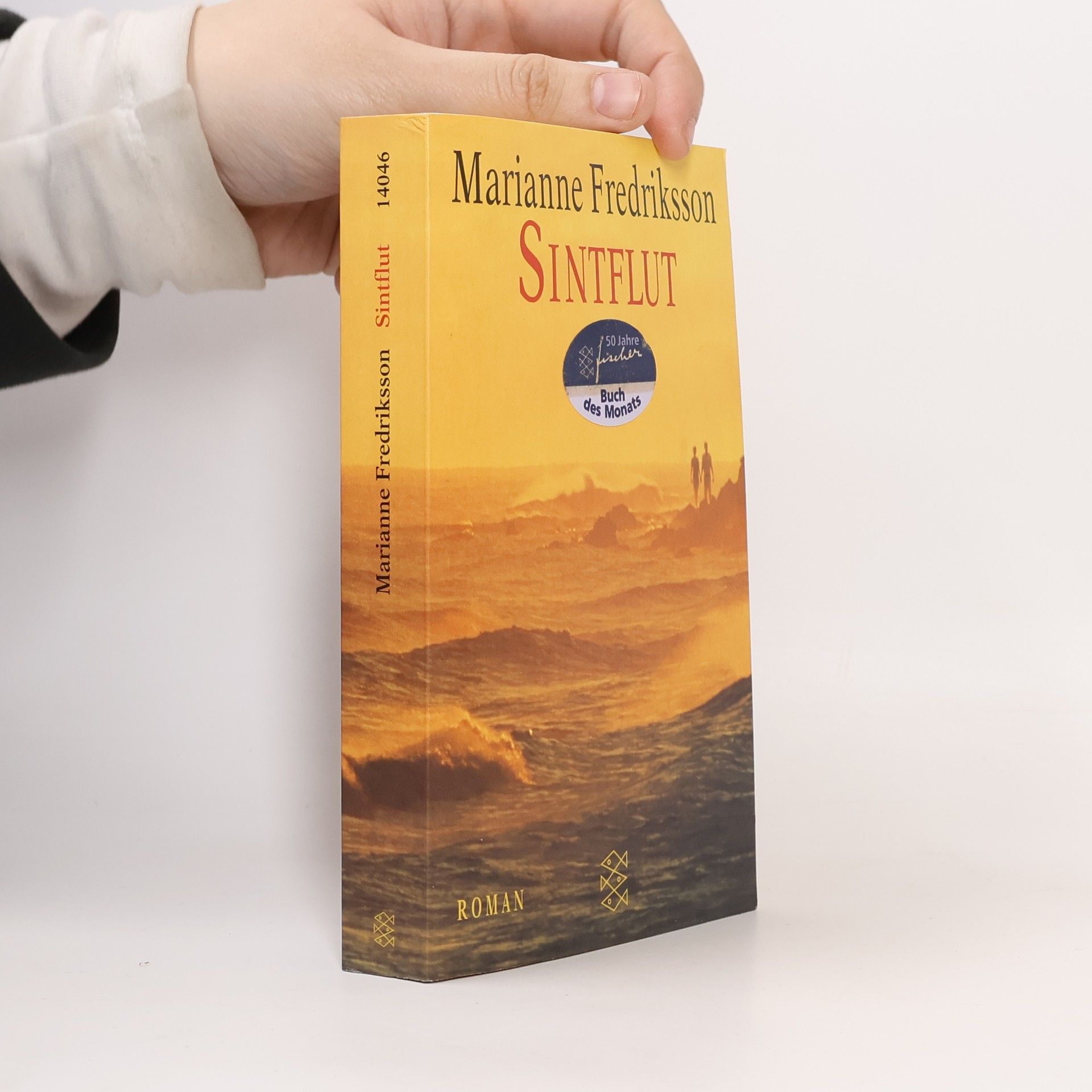 Marianne Fredriksson Sintflut