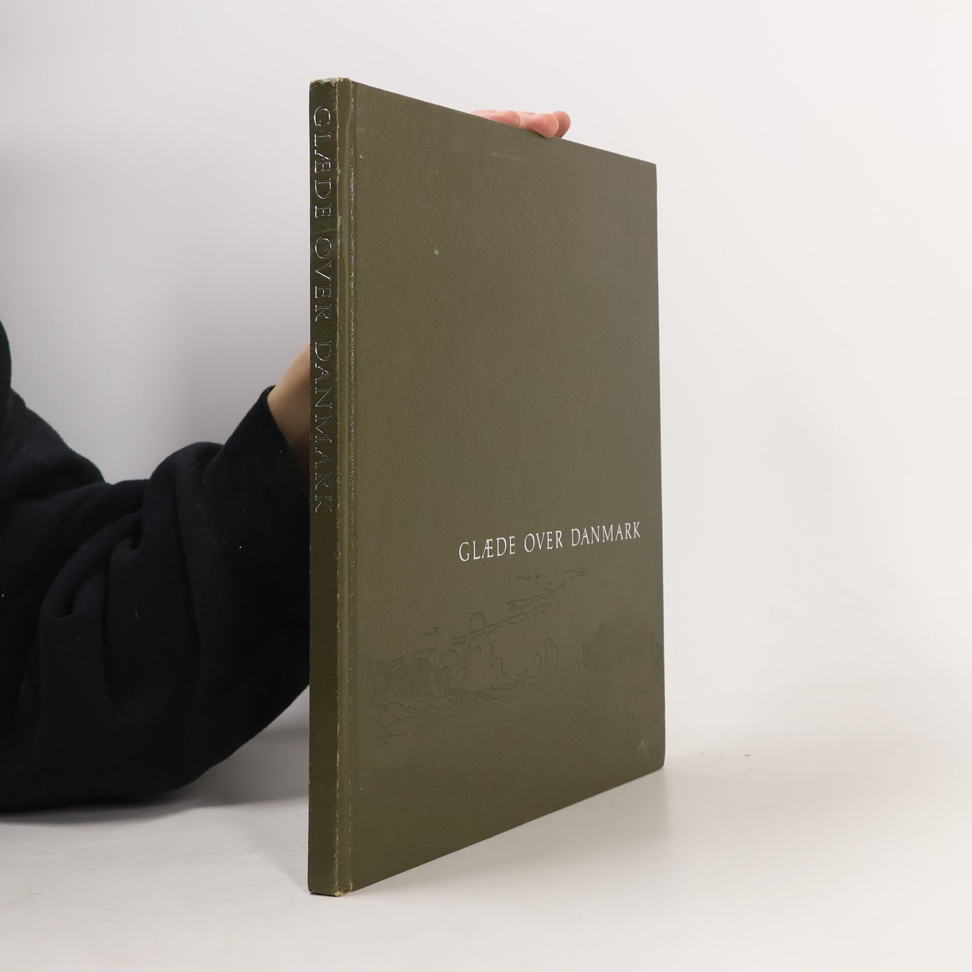 Kolektív autorov Glaede Over Danmark