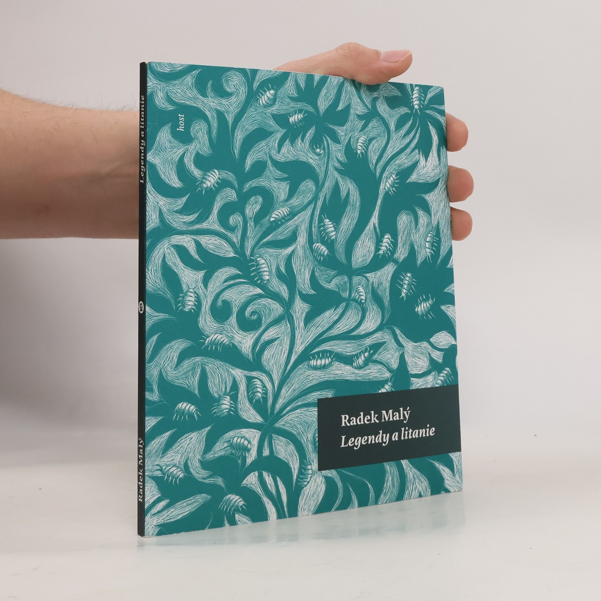 Radek Malý Legendy a litanie