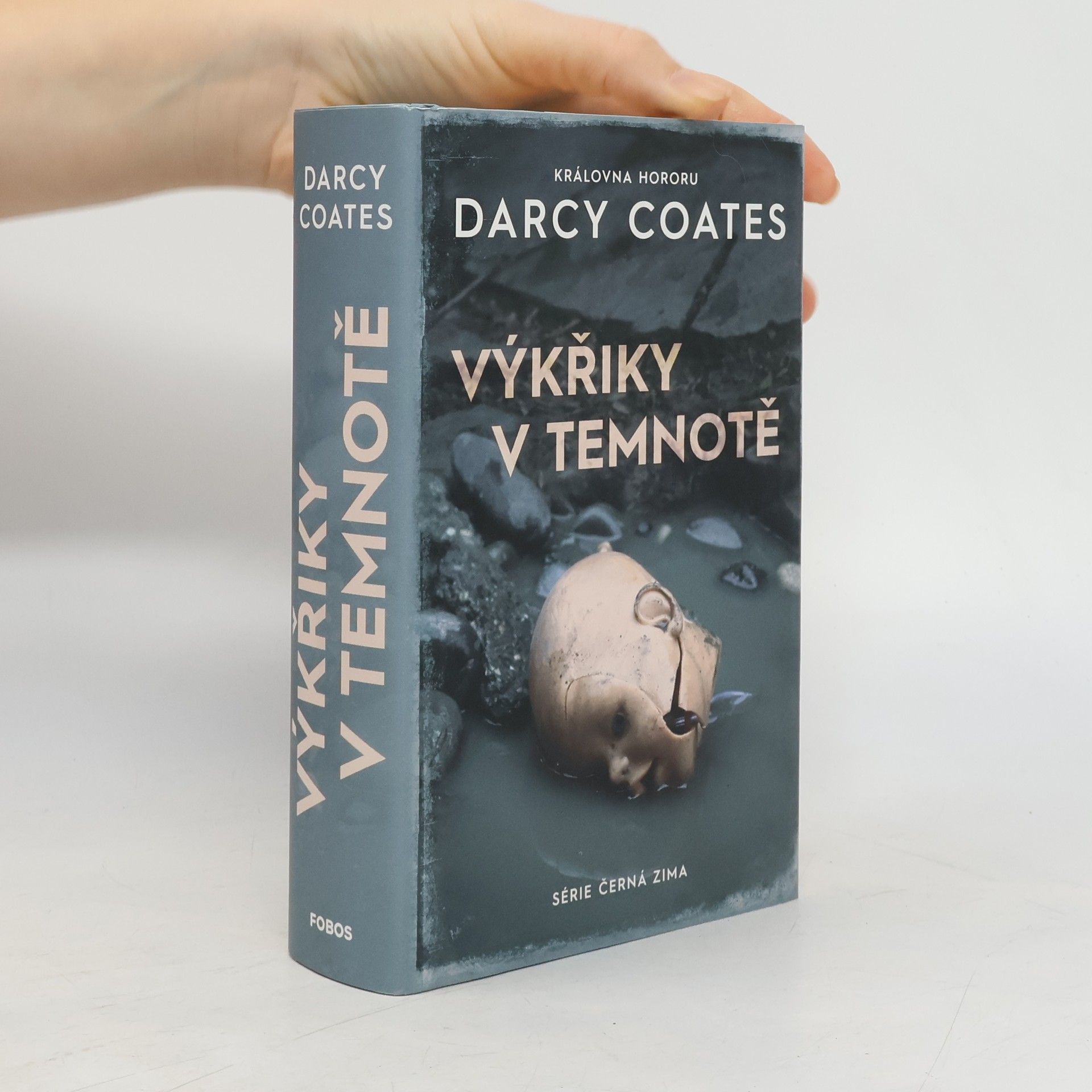 Darcy Coates Výkřiky v temnotě