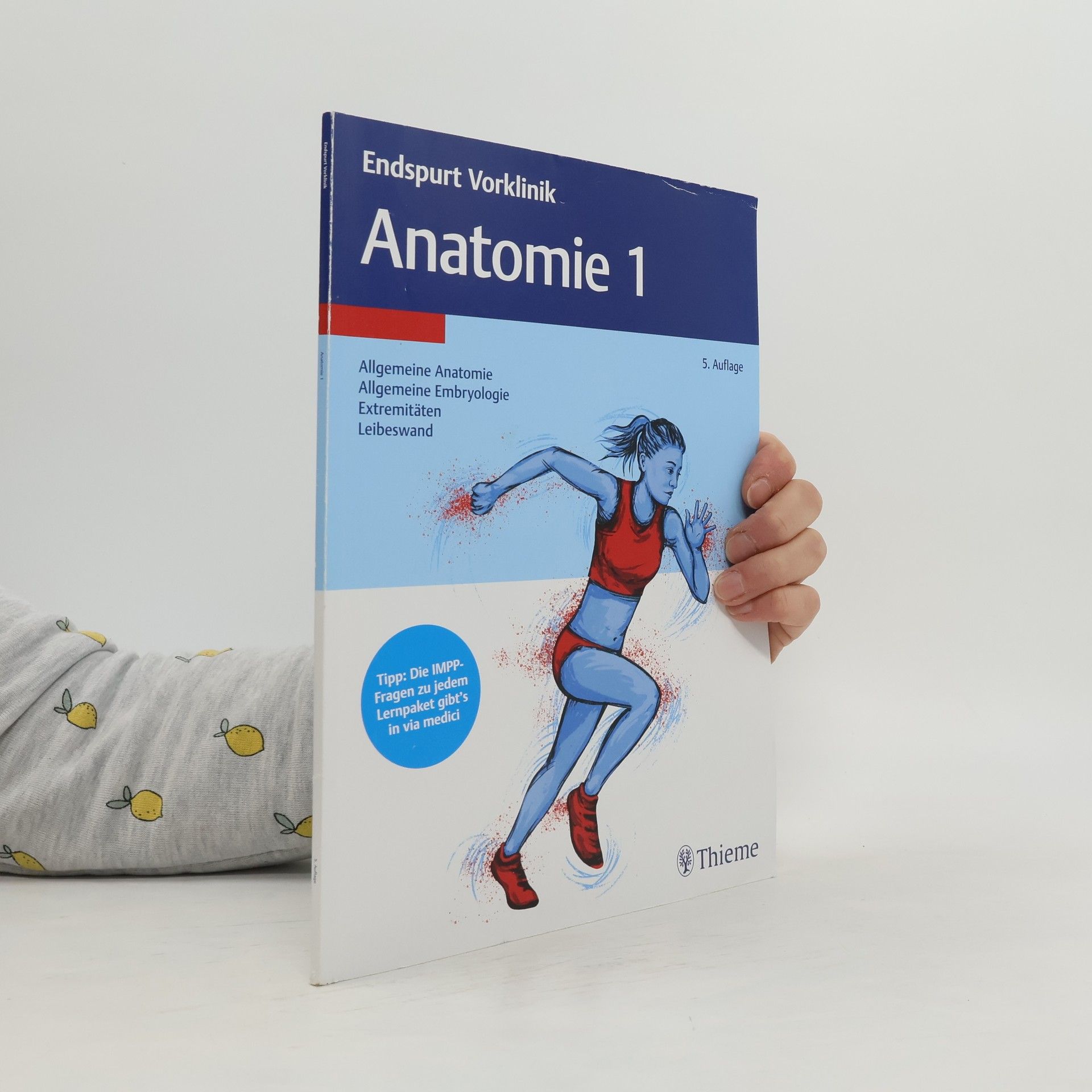 Collectif d'auteurs Endspurt Vorklinik. Anatomie 1