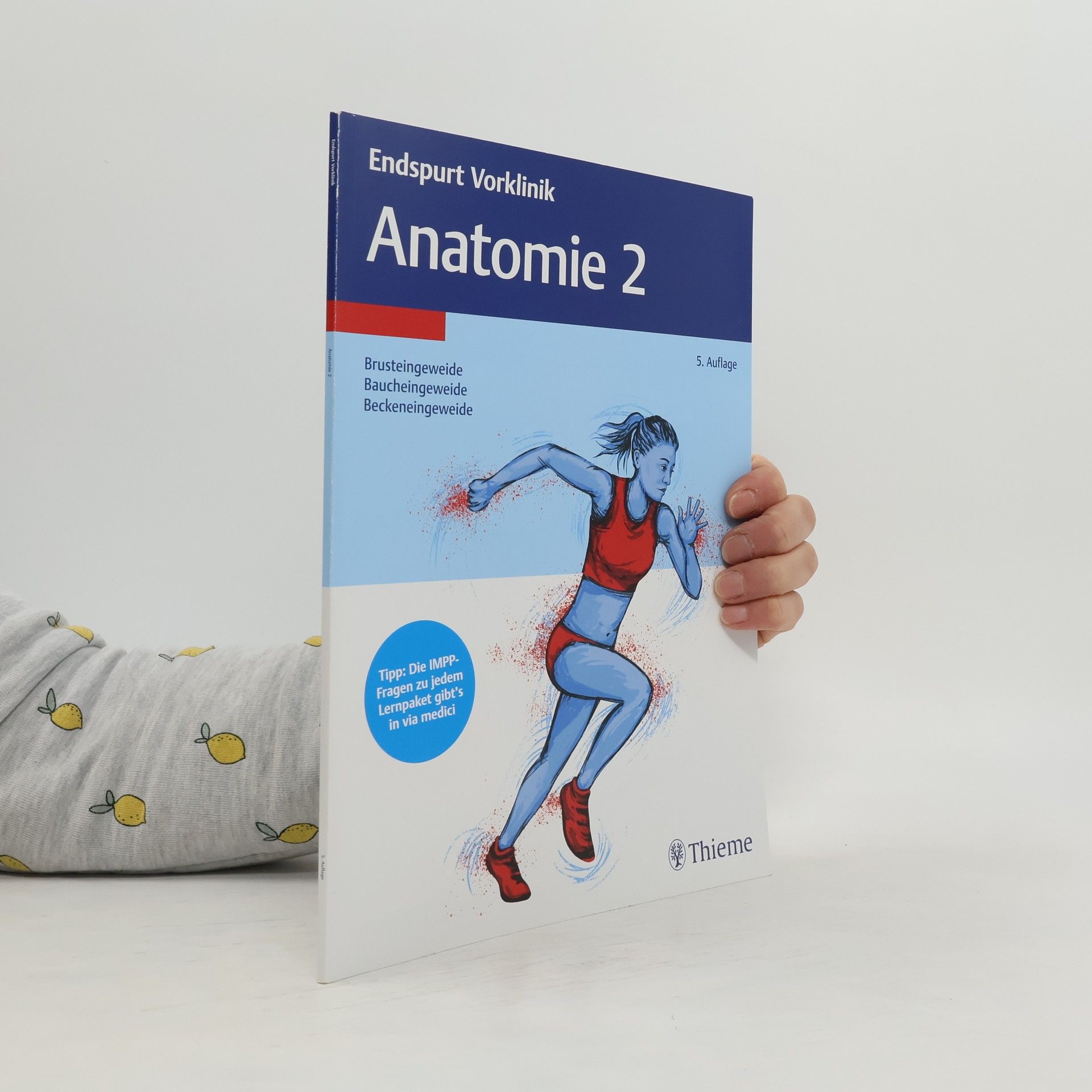 Collectif d'auteurs Endspurt Vorklinik: Anatomie 2