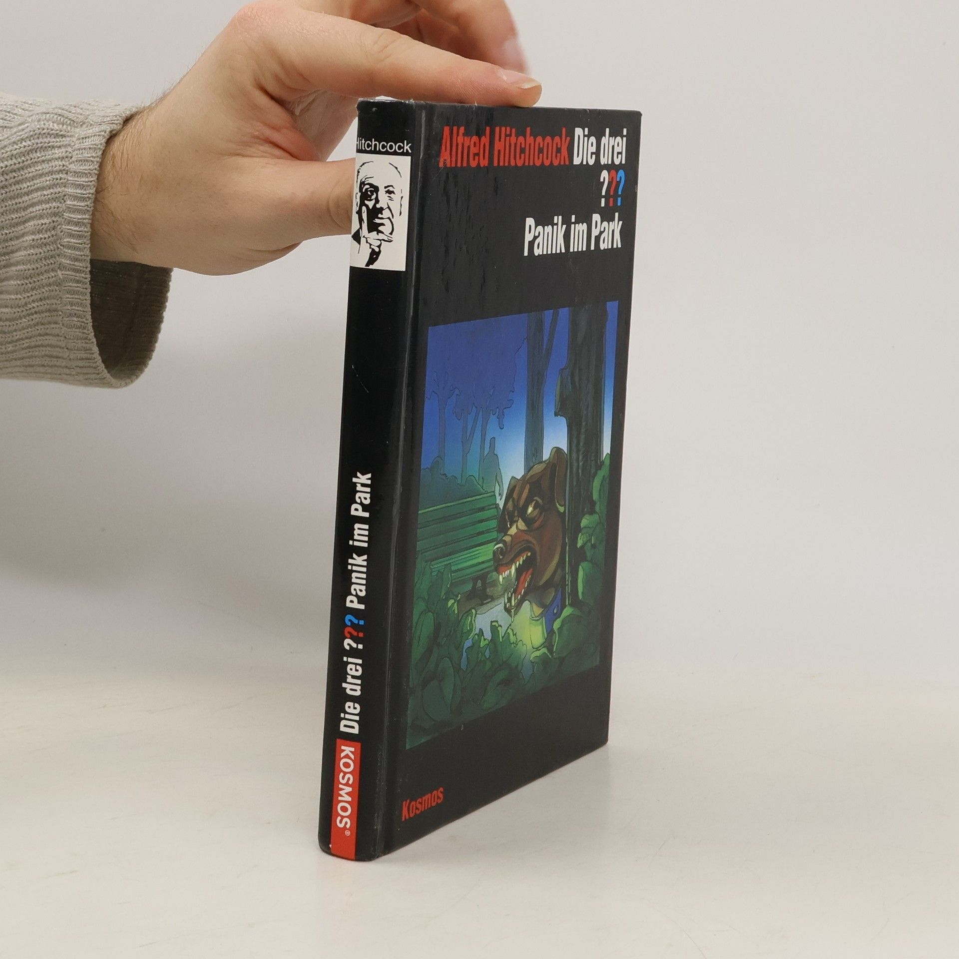 Robert Arthur Die drei ??? - Panik im Park