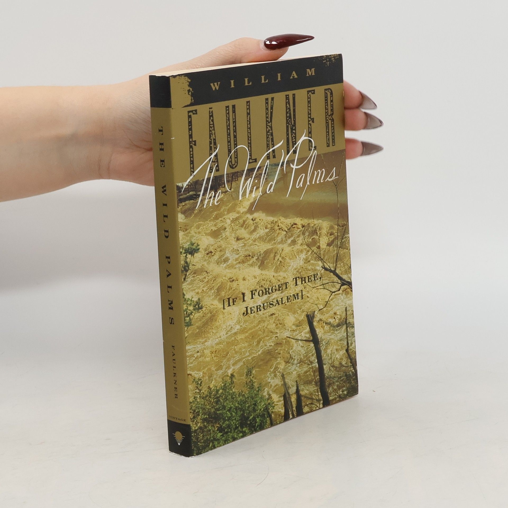 William Faulkner The Wild Palms