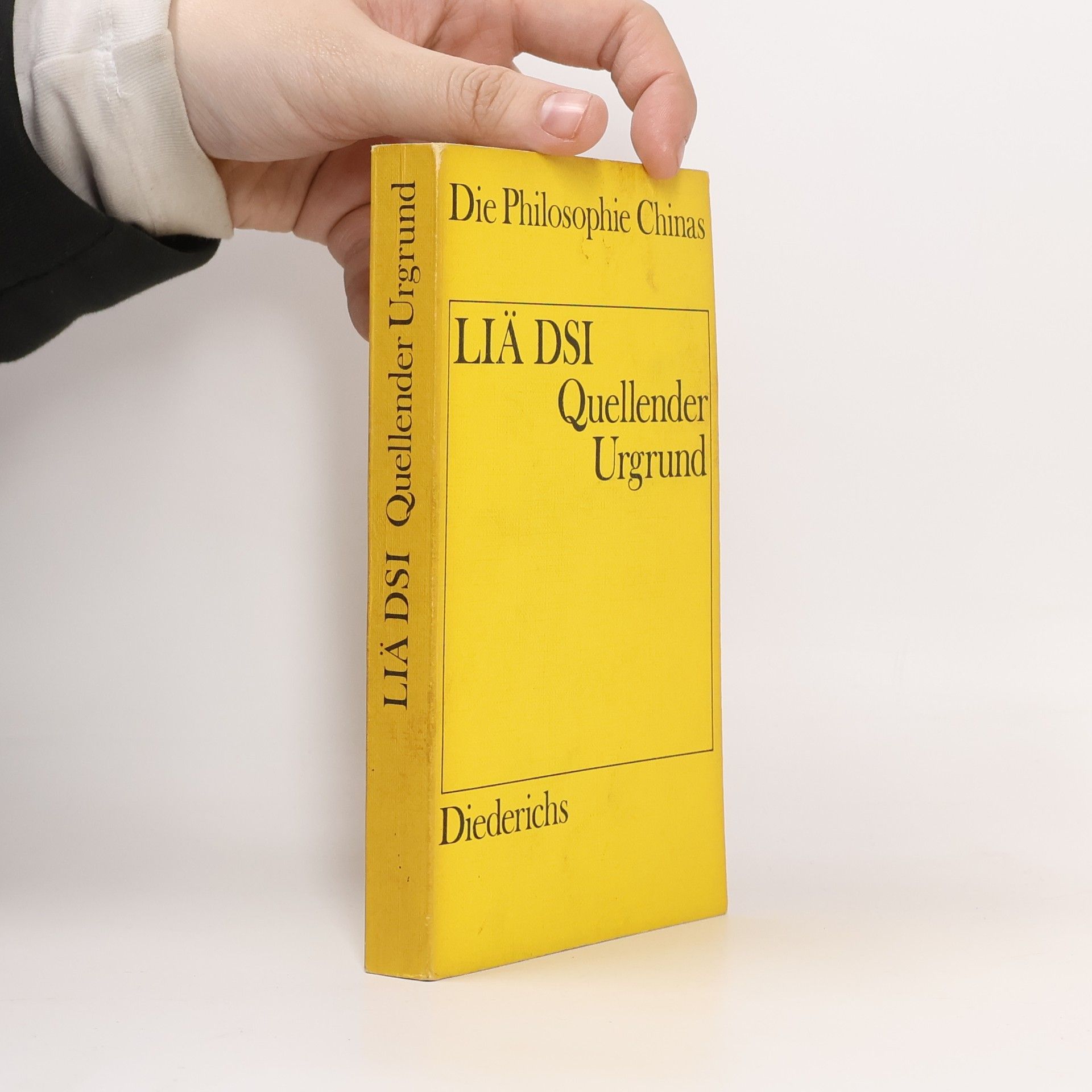 Kolektív autorov Liä Dsi Quellender Urgrund