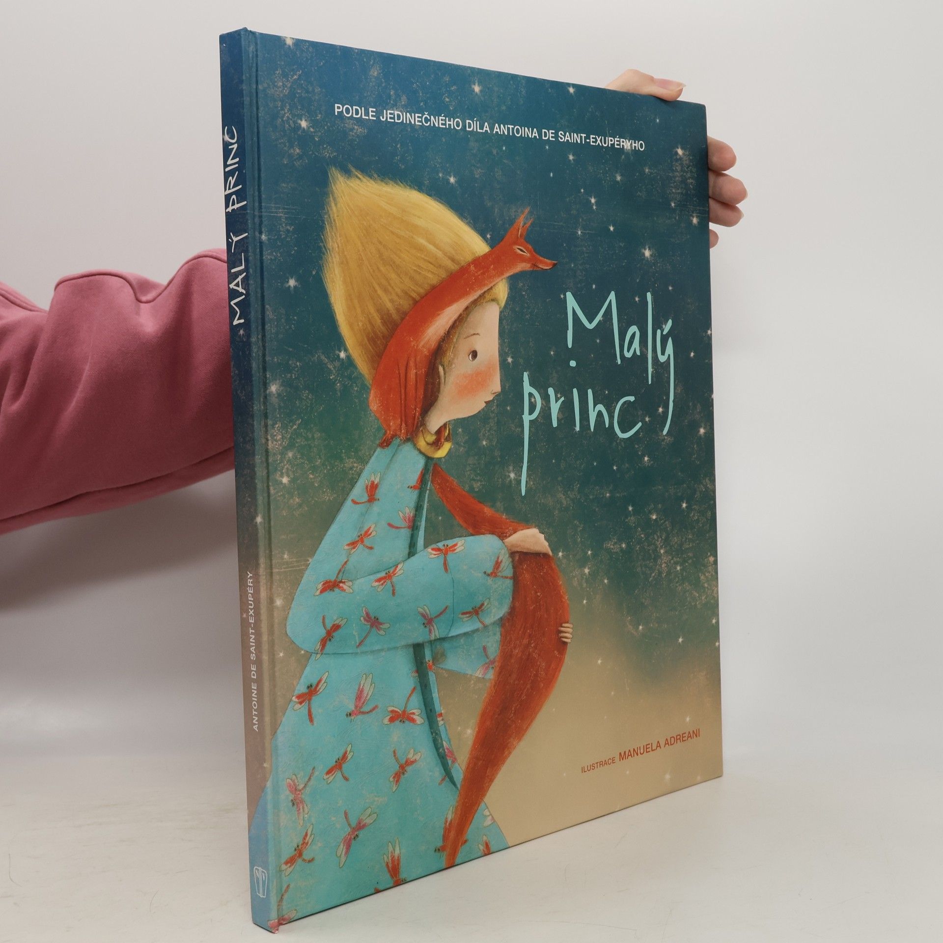 Valeria Manferto Malý princ (převyprávění)