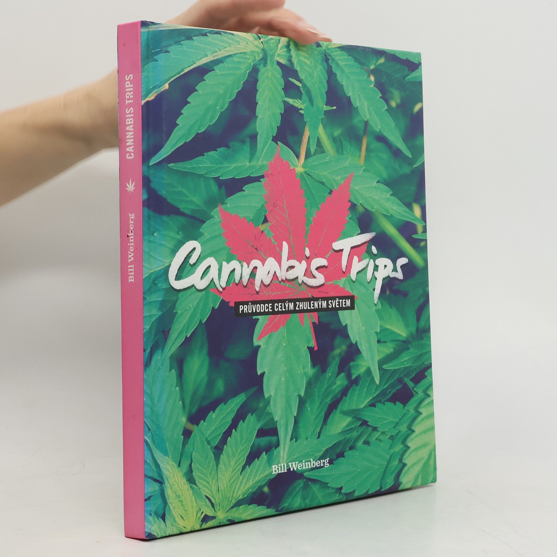 Cannabis trips: průvodce celým zhuleným světem