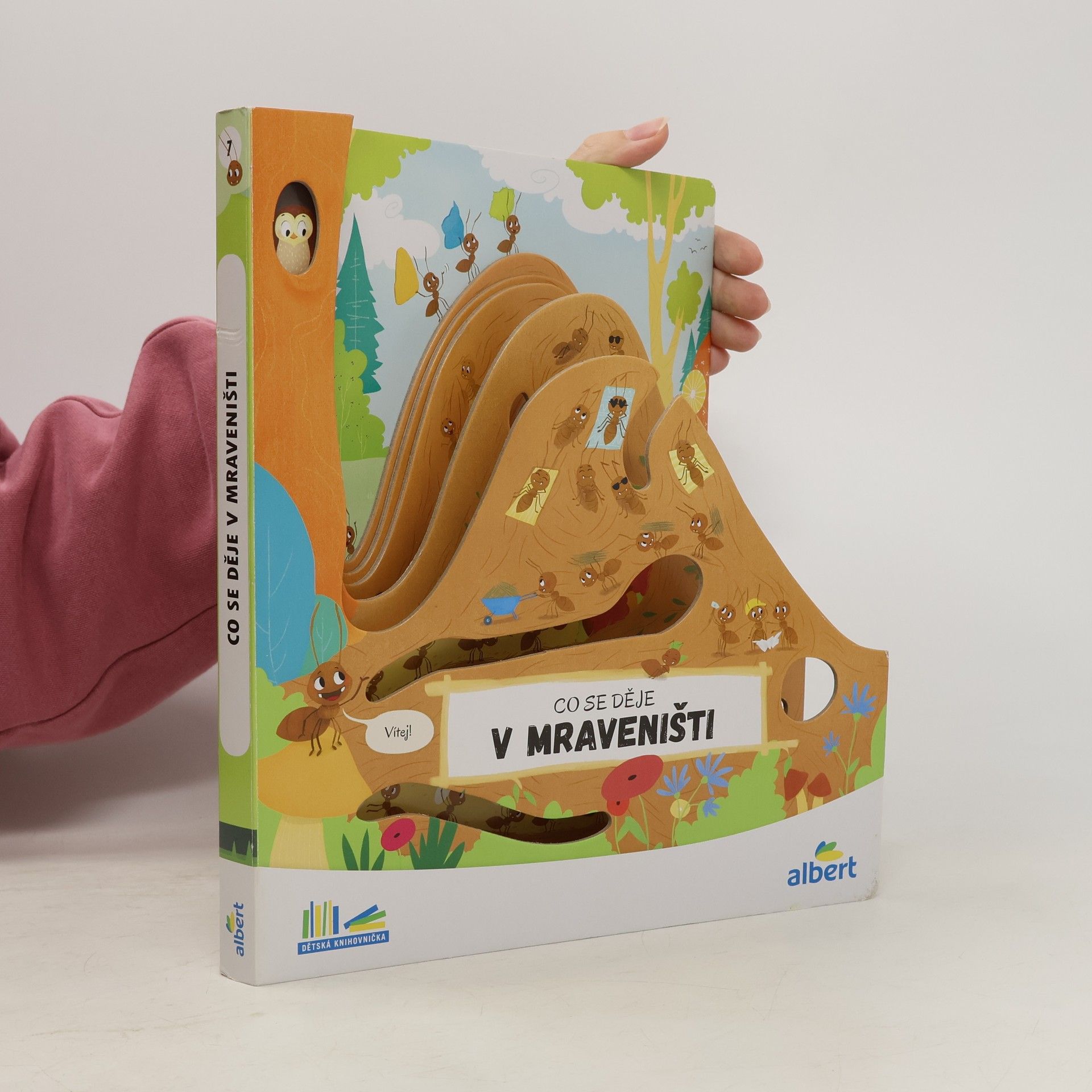 Kolektiv autorů Co se děje v mraveništi