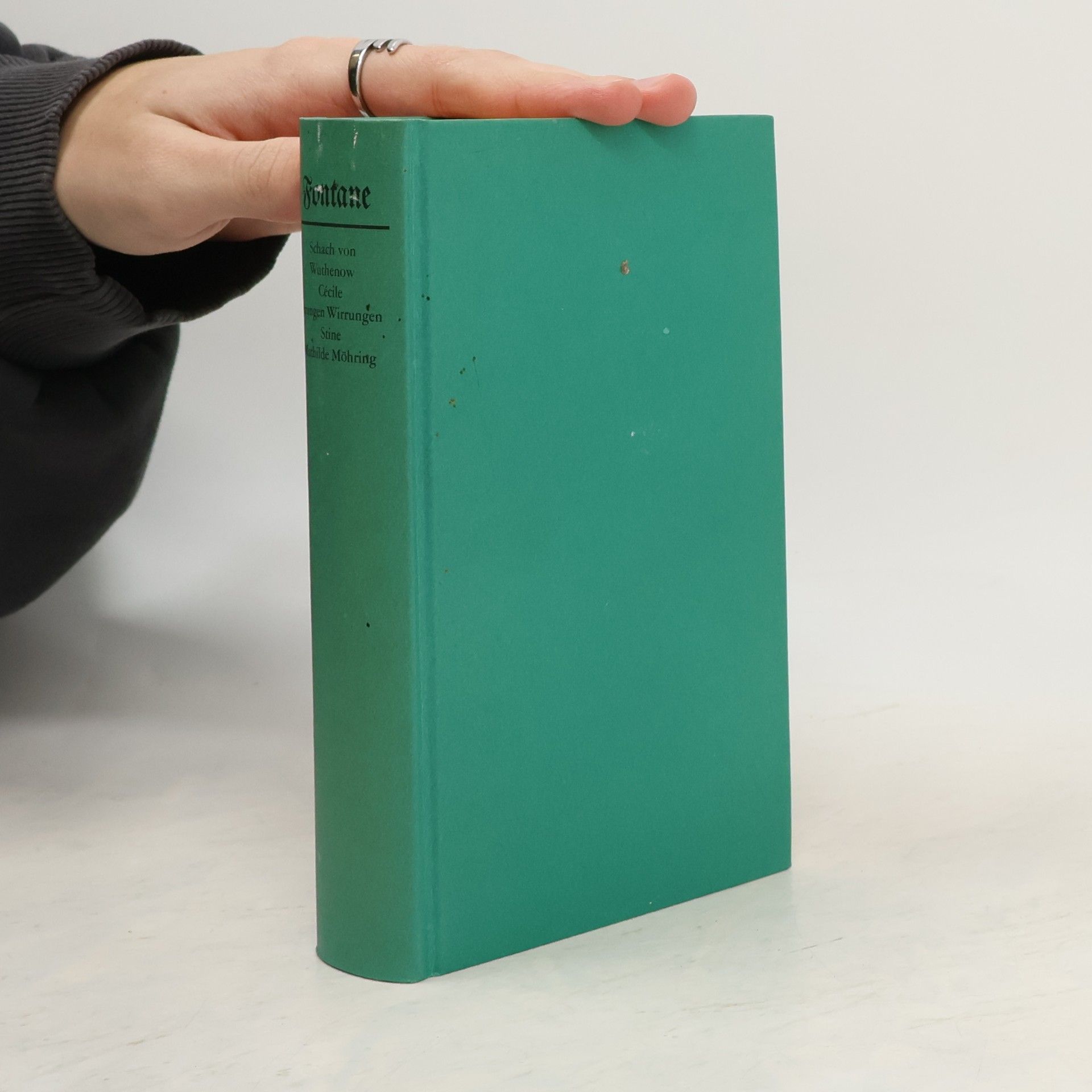 Theodor Fontane Werke in fünf Bänden