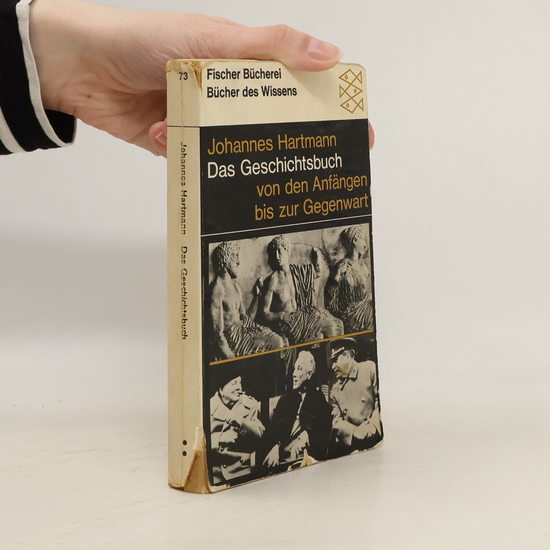 Das Geschichtsbuch von den Anfängen bis zur Gegenwart