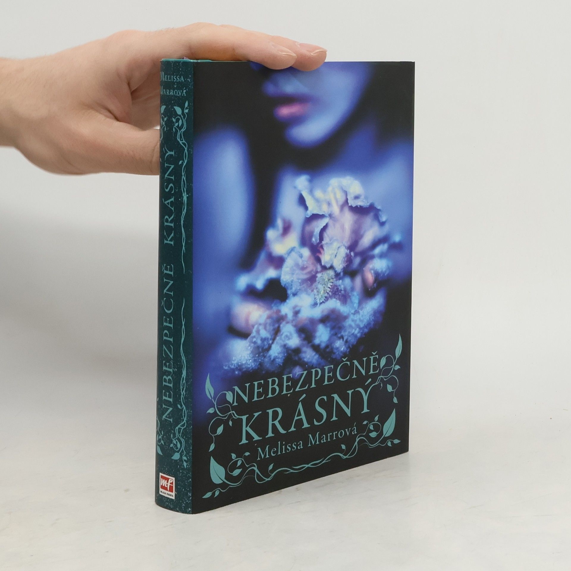 Melissa Marr Nebezpečně krásný