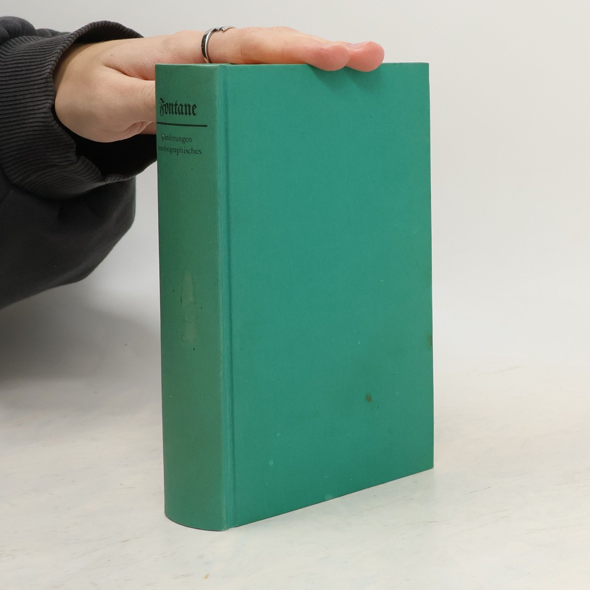 Theodor Fontane Werke in fünf Bänden