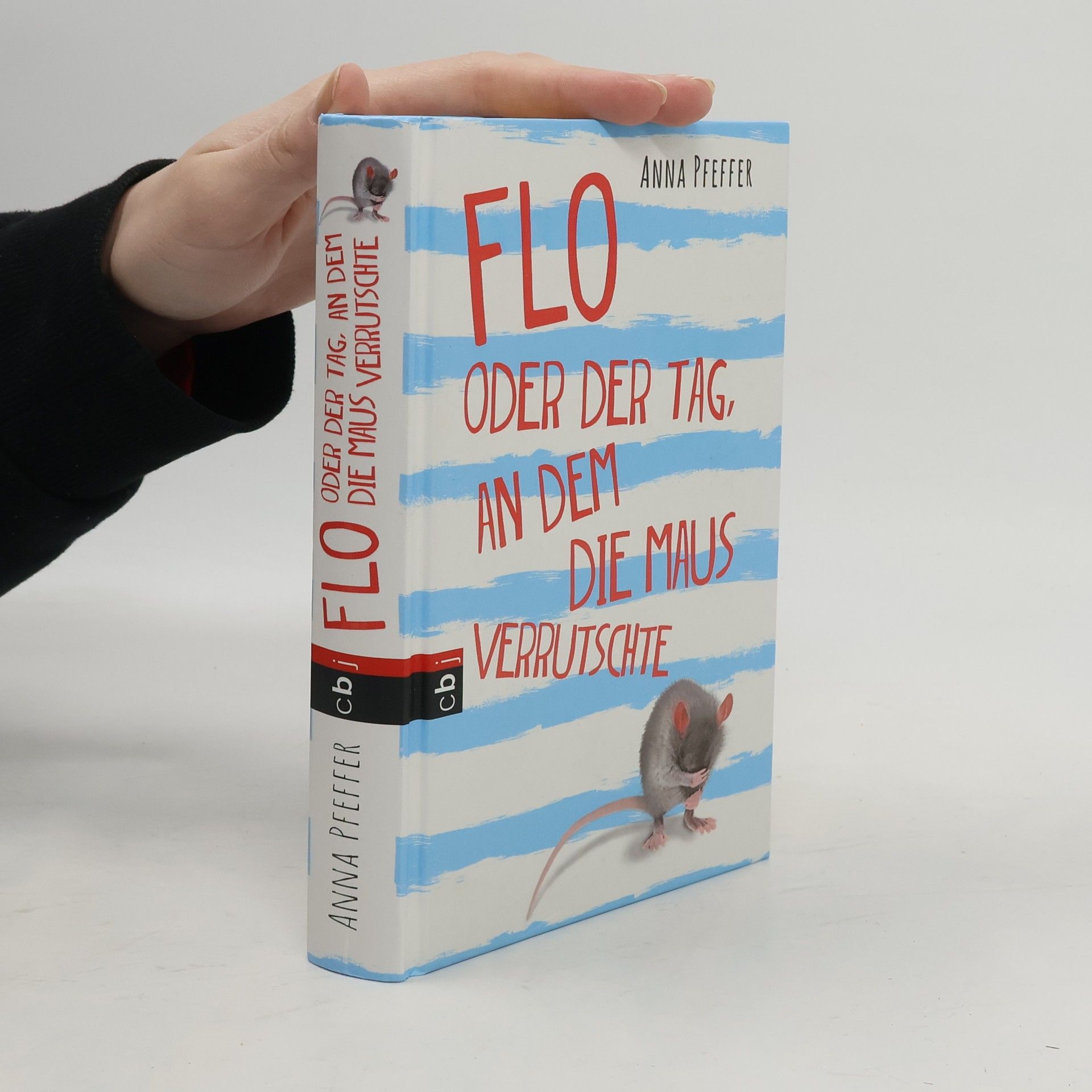 Flo oder der Tag, an dem die Maus verrutschte