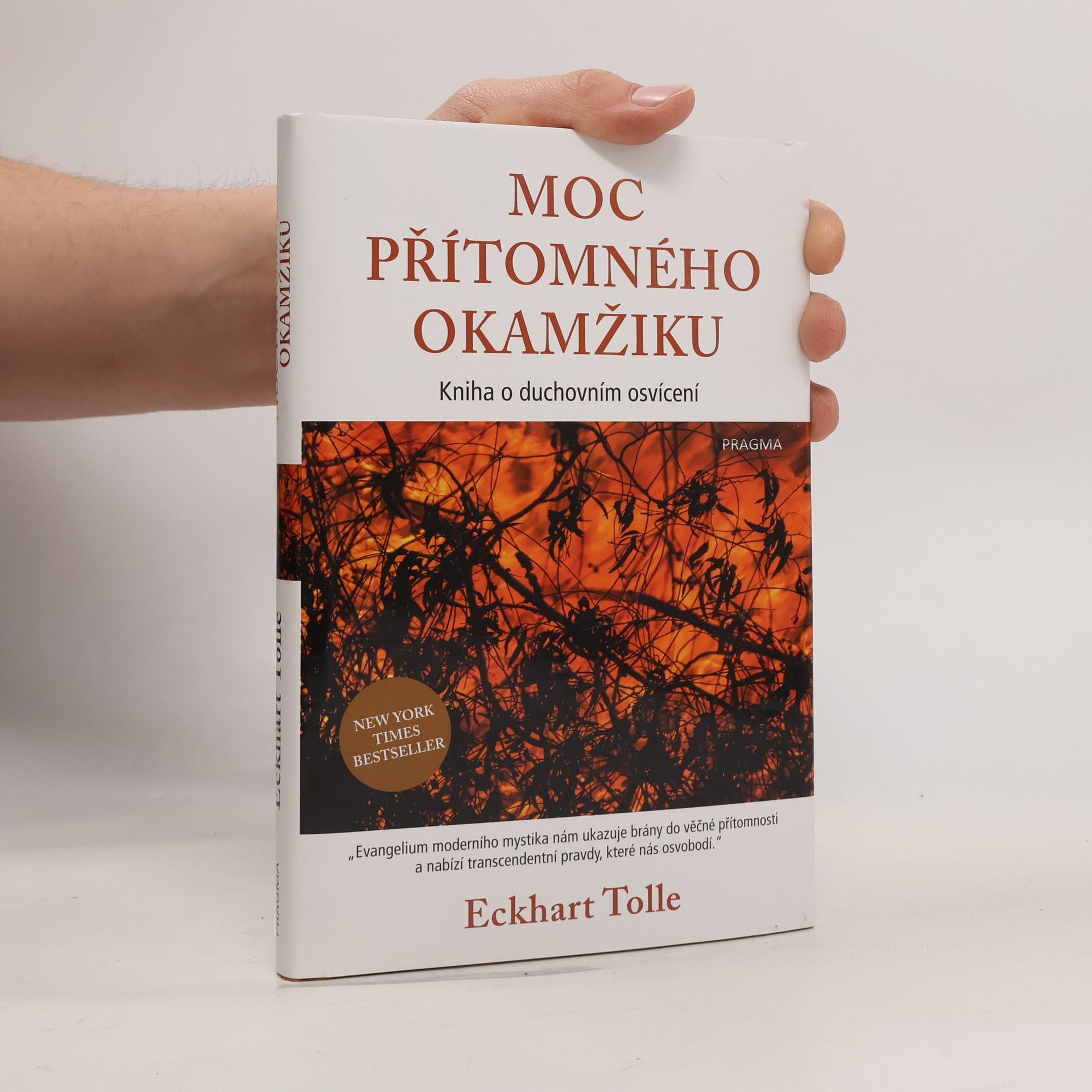 Eckhart Tolle Moc přítomného okamžiku