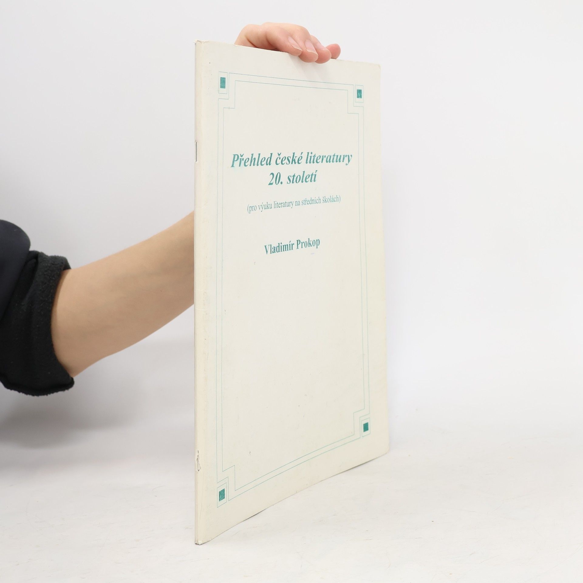 Přehled české literatury 20. století