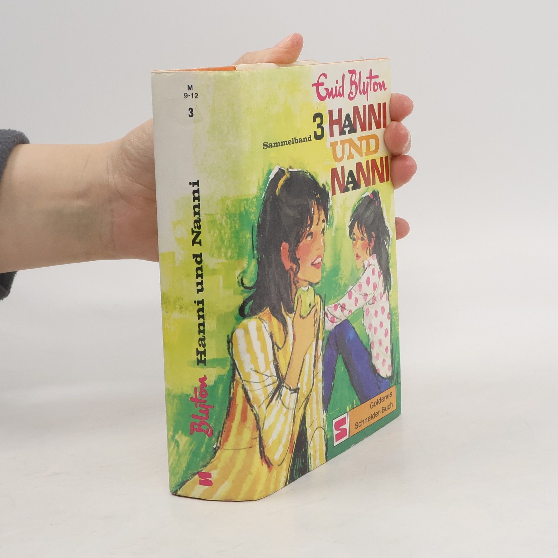 Enid Blyton Hanni und Nanni. Sammelband 3