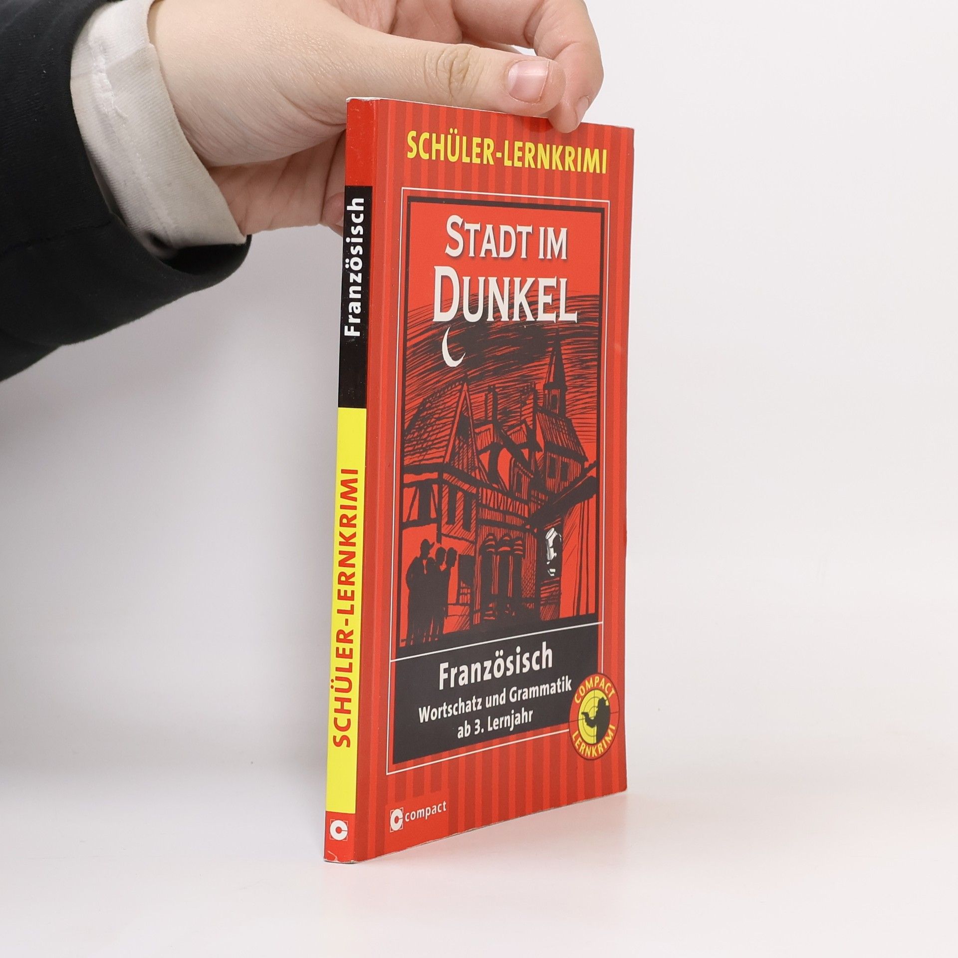 Dorothee dos Santos Domingos Schüler-Lernkrimi Französisch: Stadt im Dunkel