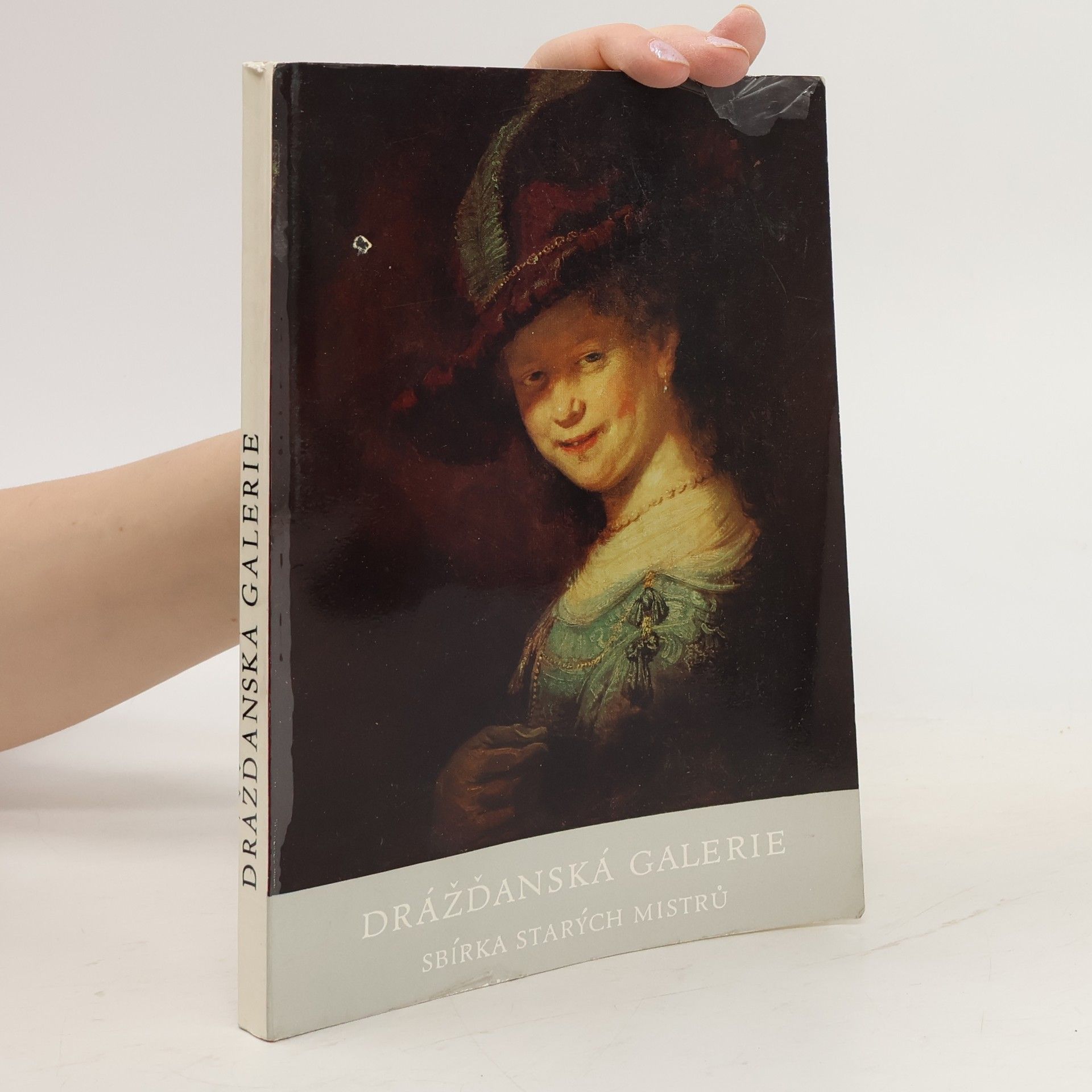 Auteurscollectief Drážďanská galerie. Sbírka starých mistrů