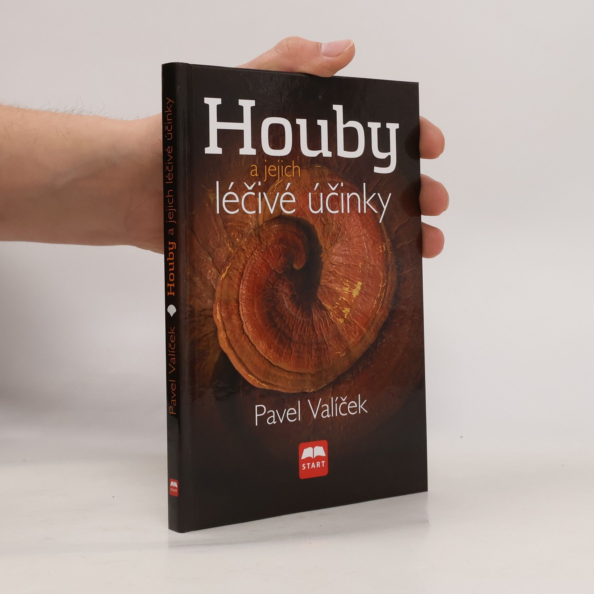 Houby a jejich léčivé účinky