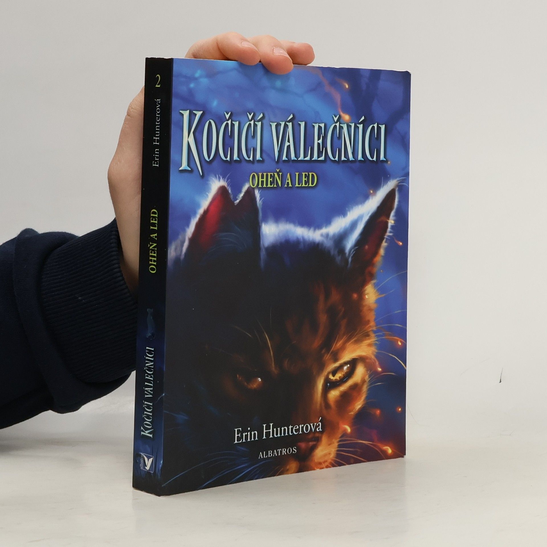 Kočičí válečníci: Oheň a led