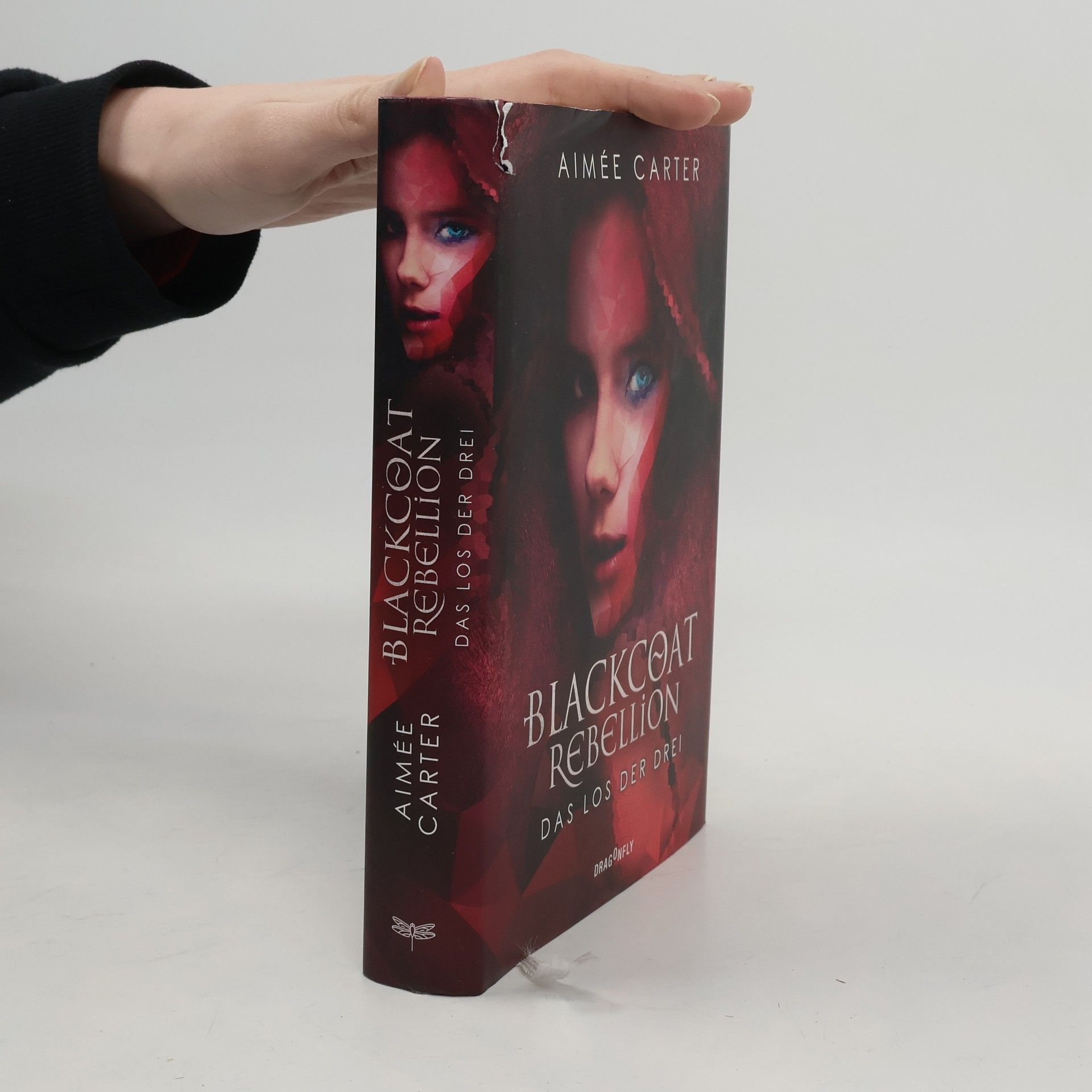 Aimée Carter Blackcoat Rebellion - Das Los der Drei