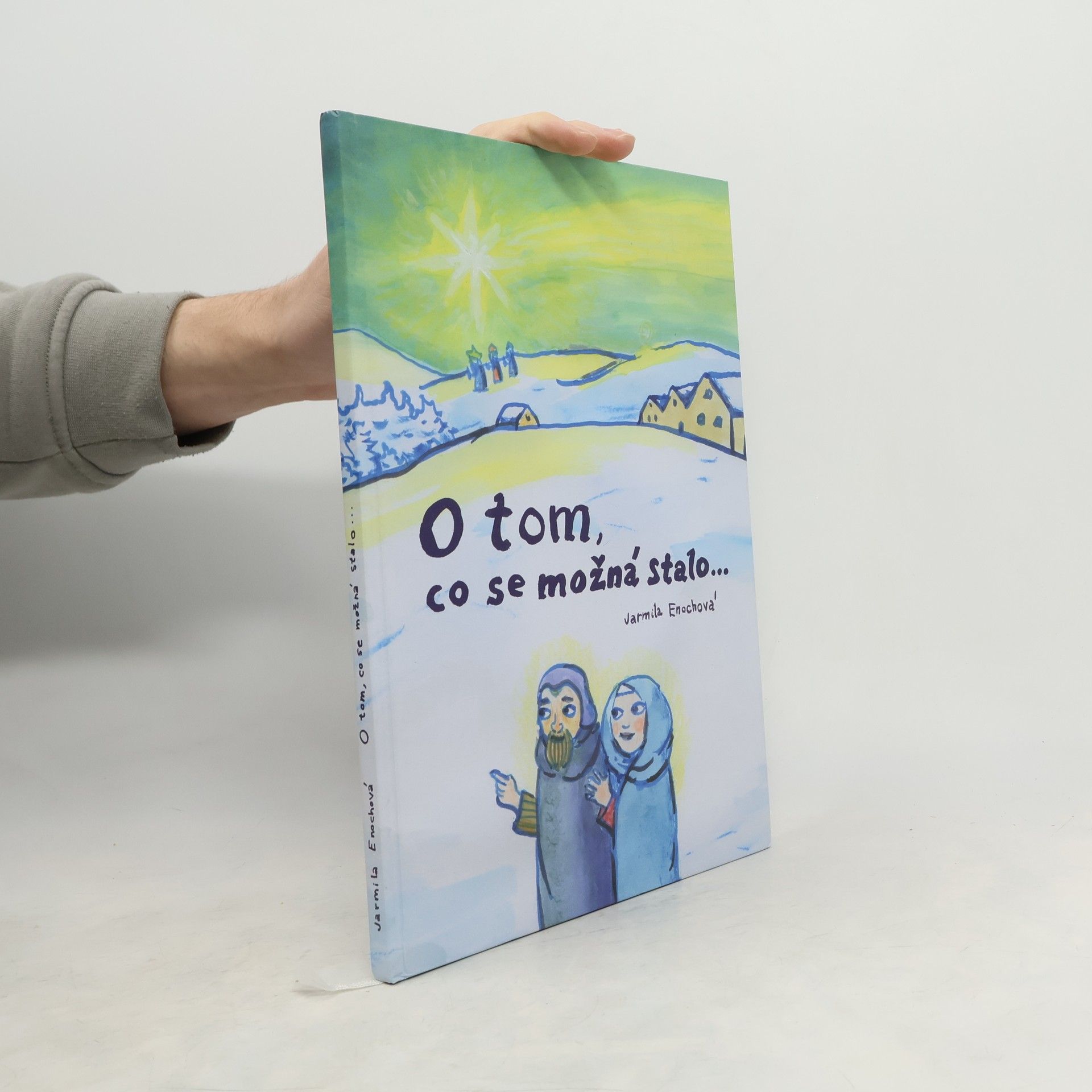 Jarmila Enochová O tom, co se možná stalo...