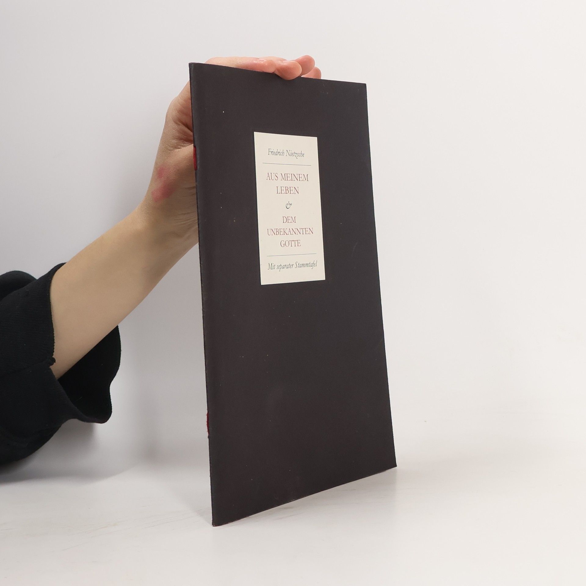 Friedrich Nietzsche Edition Ornament: Aus meinem Leben