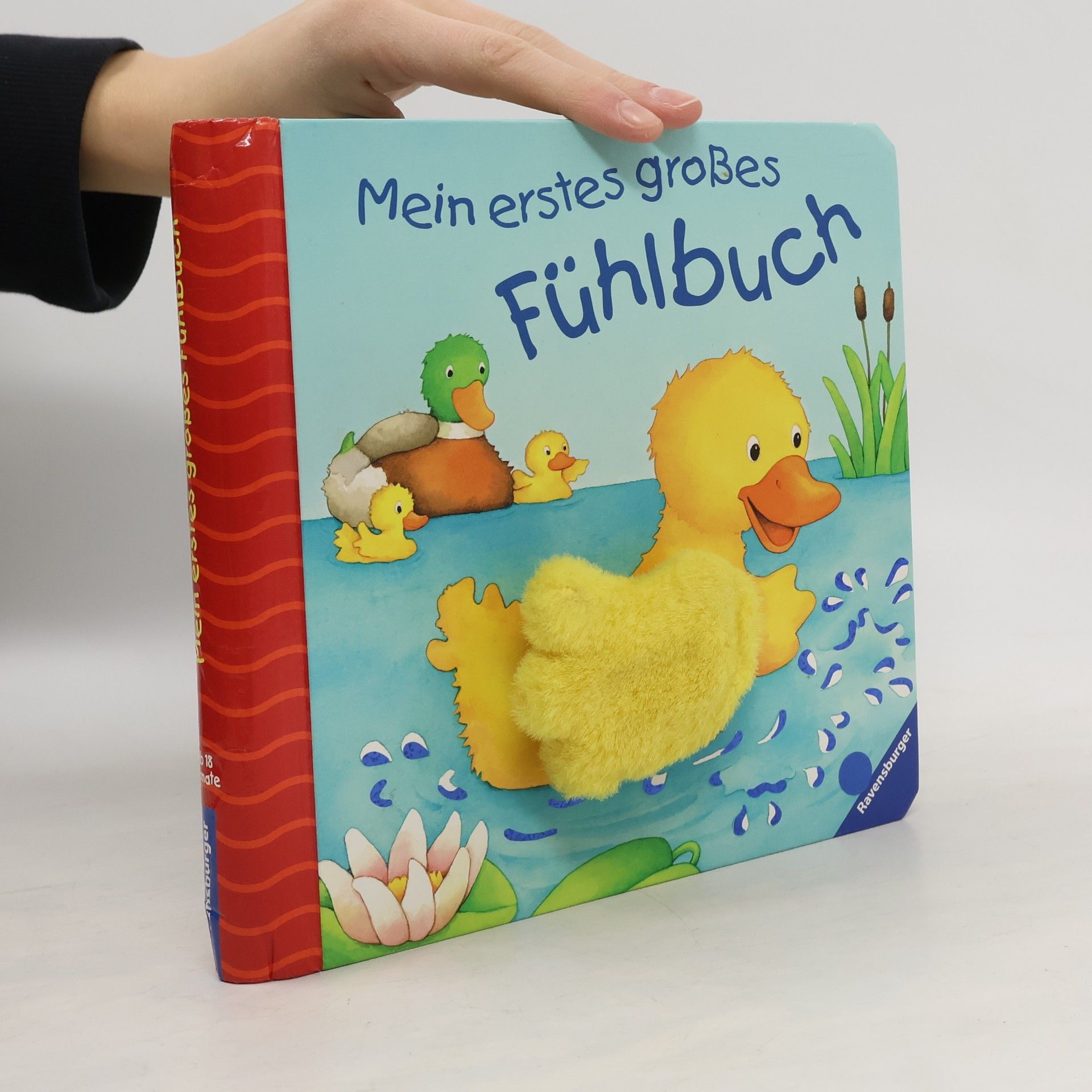 Mein erstes großes Fühlbuch