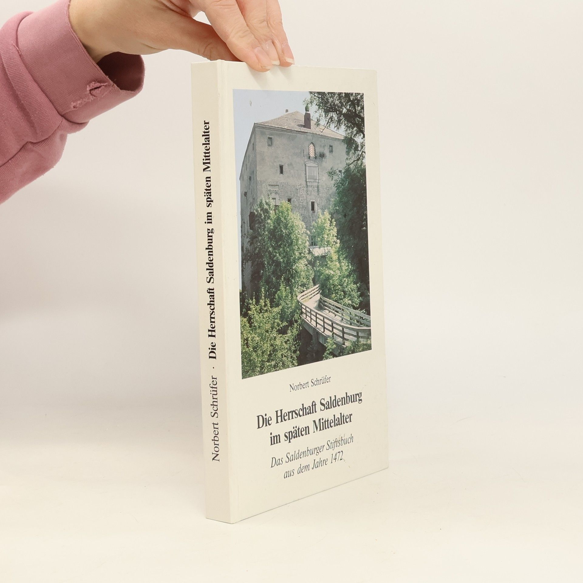 Die Herrschaft Saldenburg im späten Mittelalter