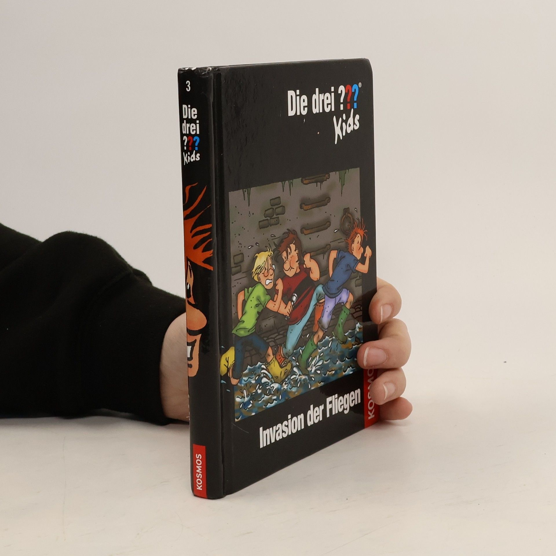 Ulf Blanck Invasion der Fliegen