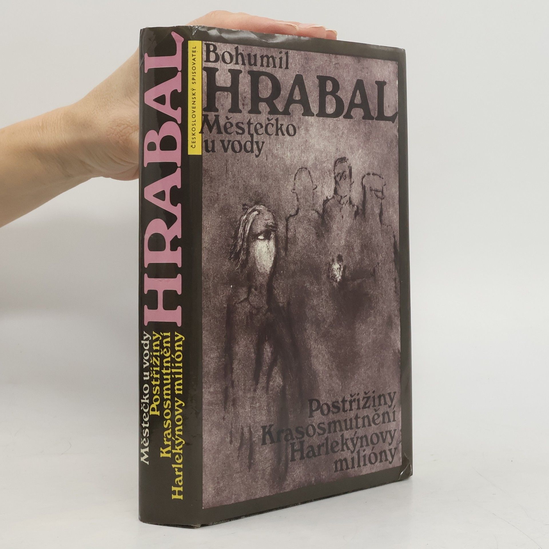 Bohumil Hrabal Městečko u vody