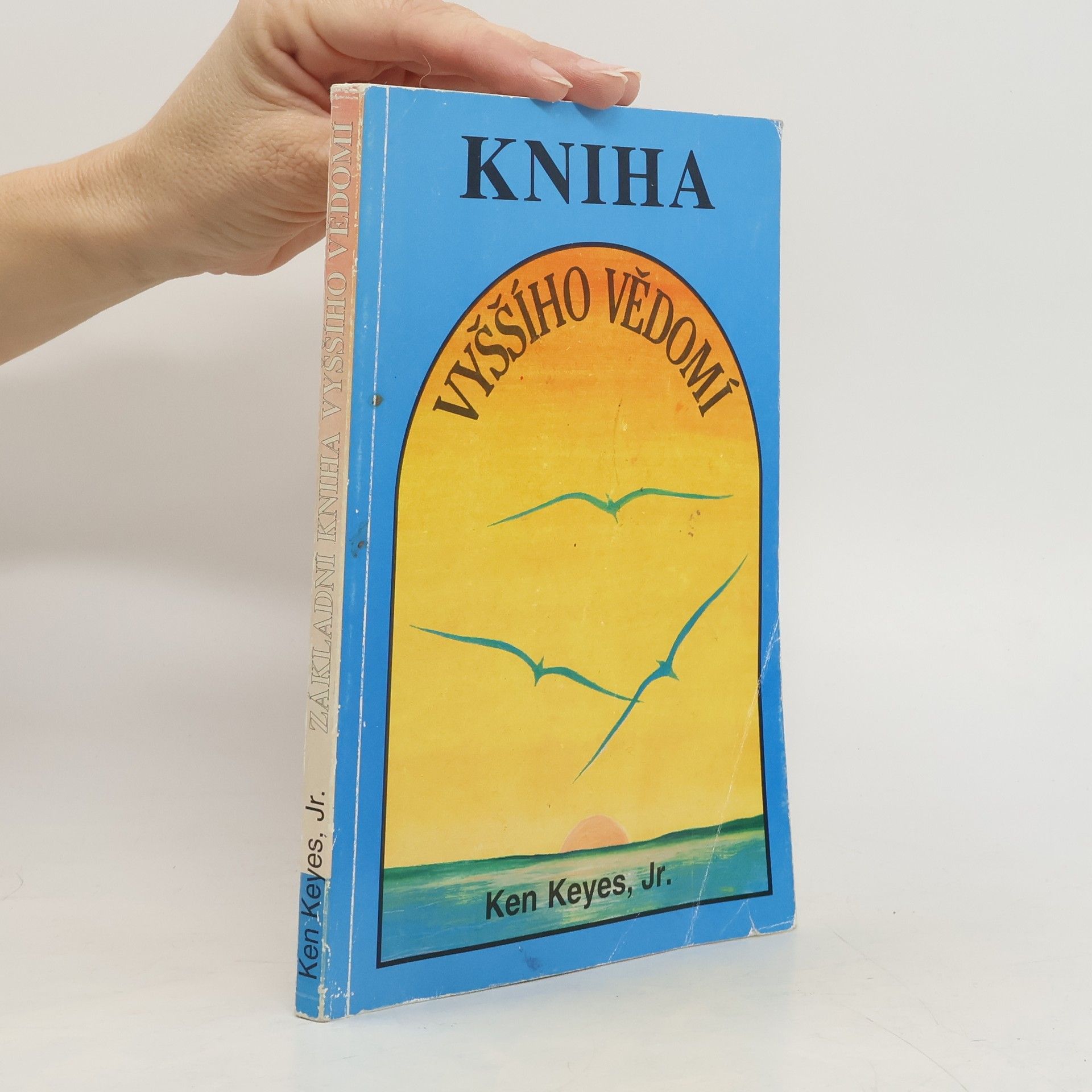 Ken Keyes Základní kniha vyššího vědomí