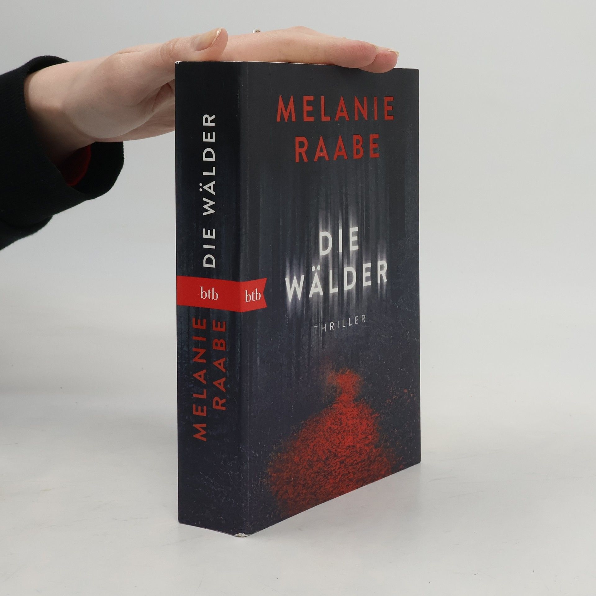 Melanie Raabe Die Wälder